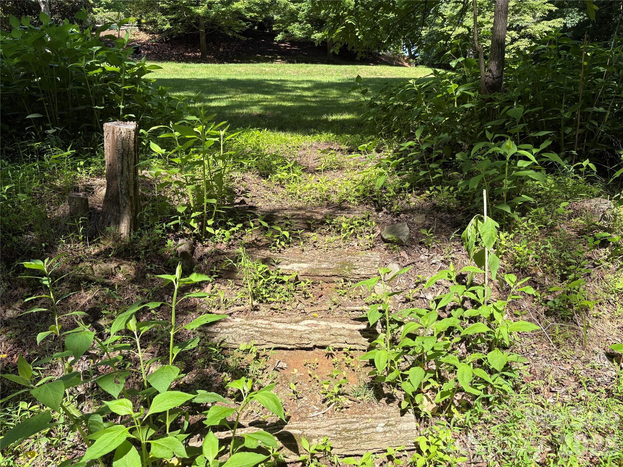 Lot at 239 Stone Valley Way, Hendersonville, photo 13 of 18