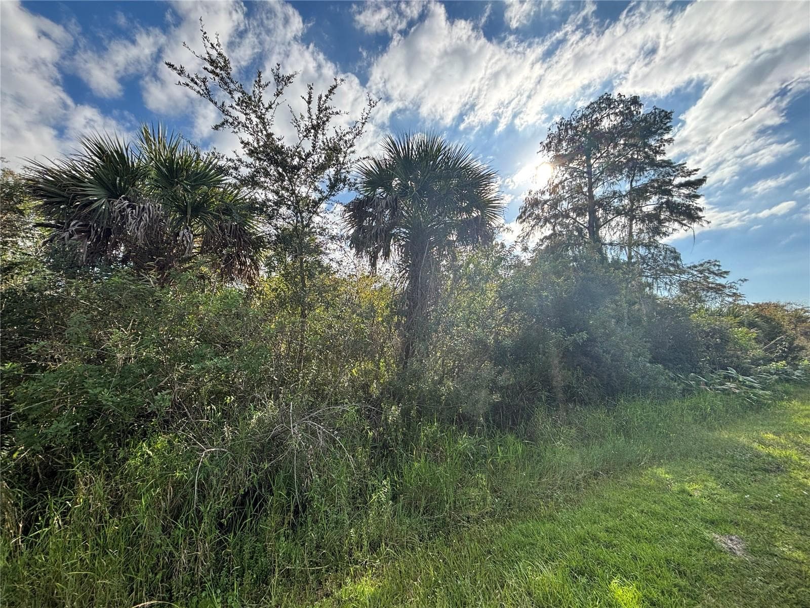 Land at xxx37 TH AVE NE, NAPLES, photo 7 of 17