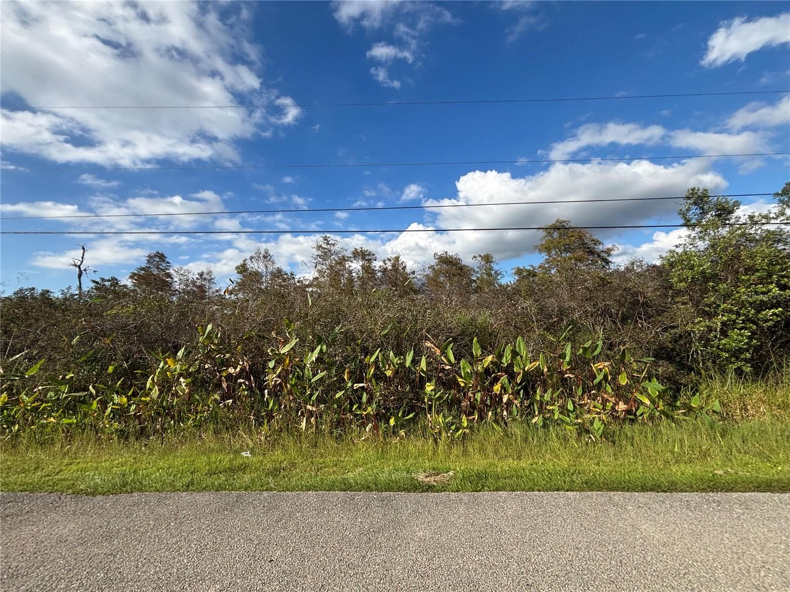 Land at xxx37 TH AVE NE, NAPLES, photo 15 of 17