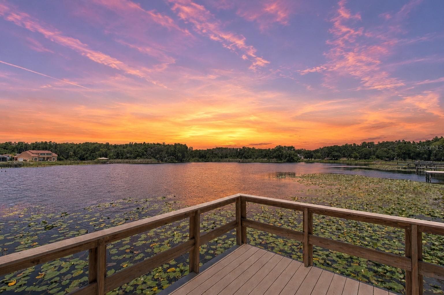 Epic Sunsets from the backyard and dock - 2459 SHOREWOOD LN, LAND O LAKES