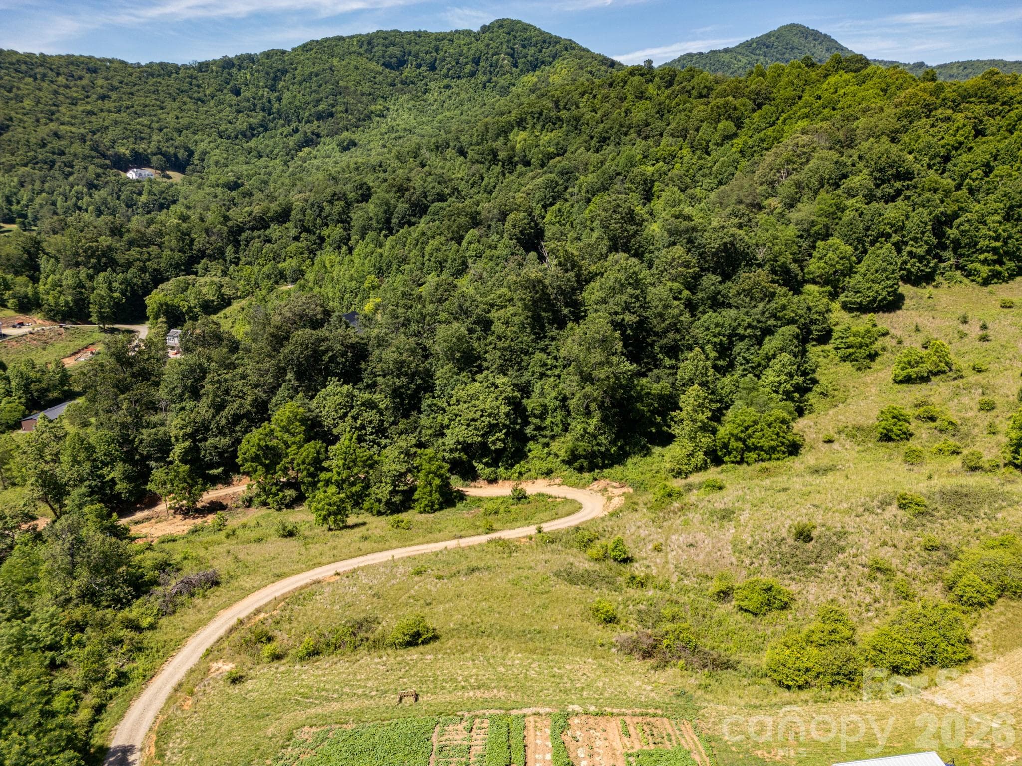 Acreage at 999 Murphy Cove Road, Candler, photo 6 of 48