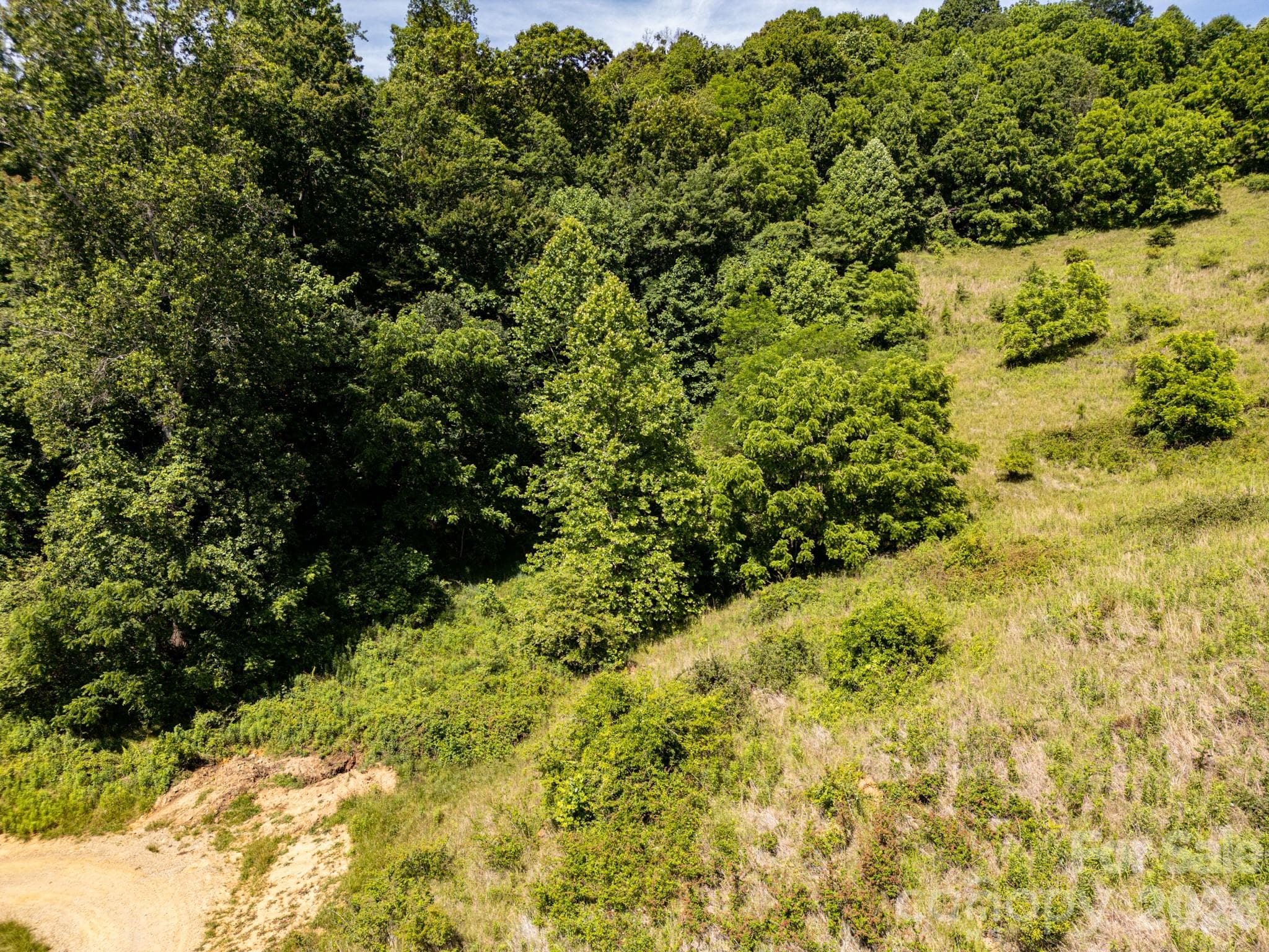 Acreage at 999 Murphy Cove Road, Candler, photo 11 of 48