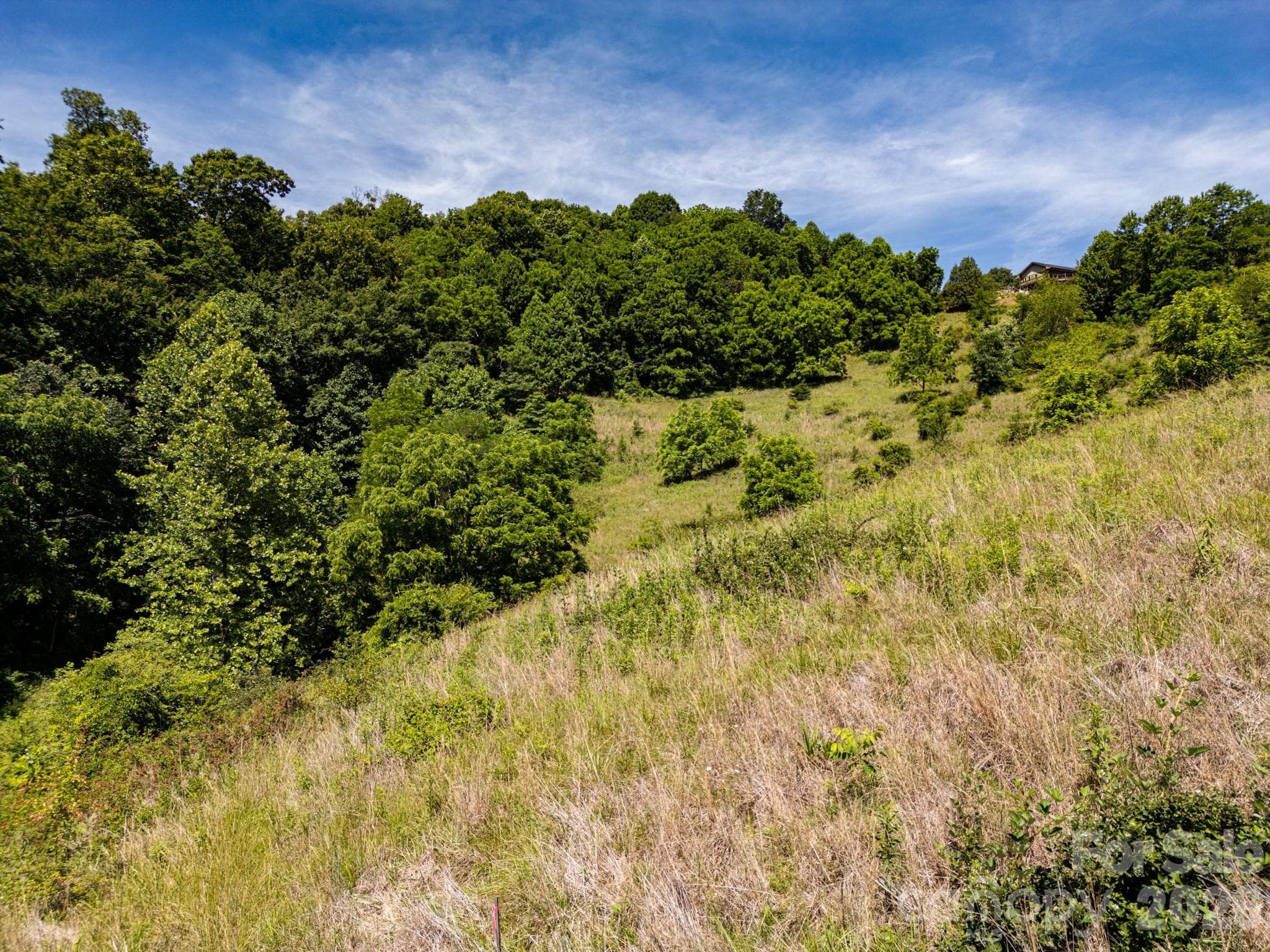Acreage at 999 Murphy Cove Road, Candler, photo 20 of 48