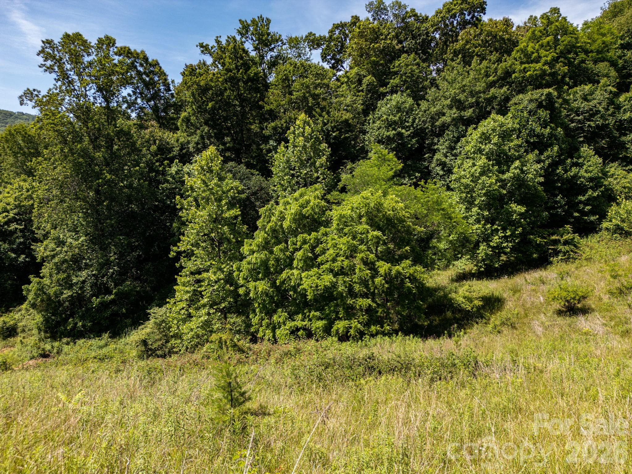 Acreage at 999 Murphy Cove Road, Candler, photo 26 of 48