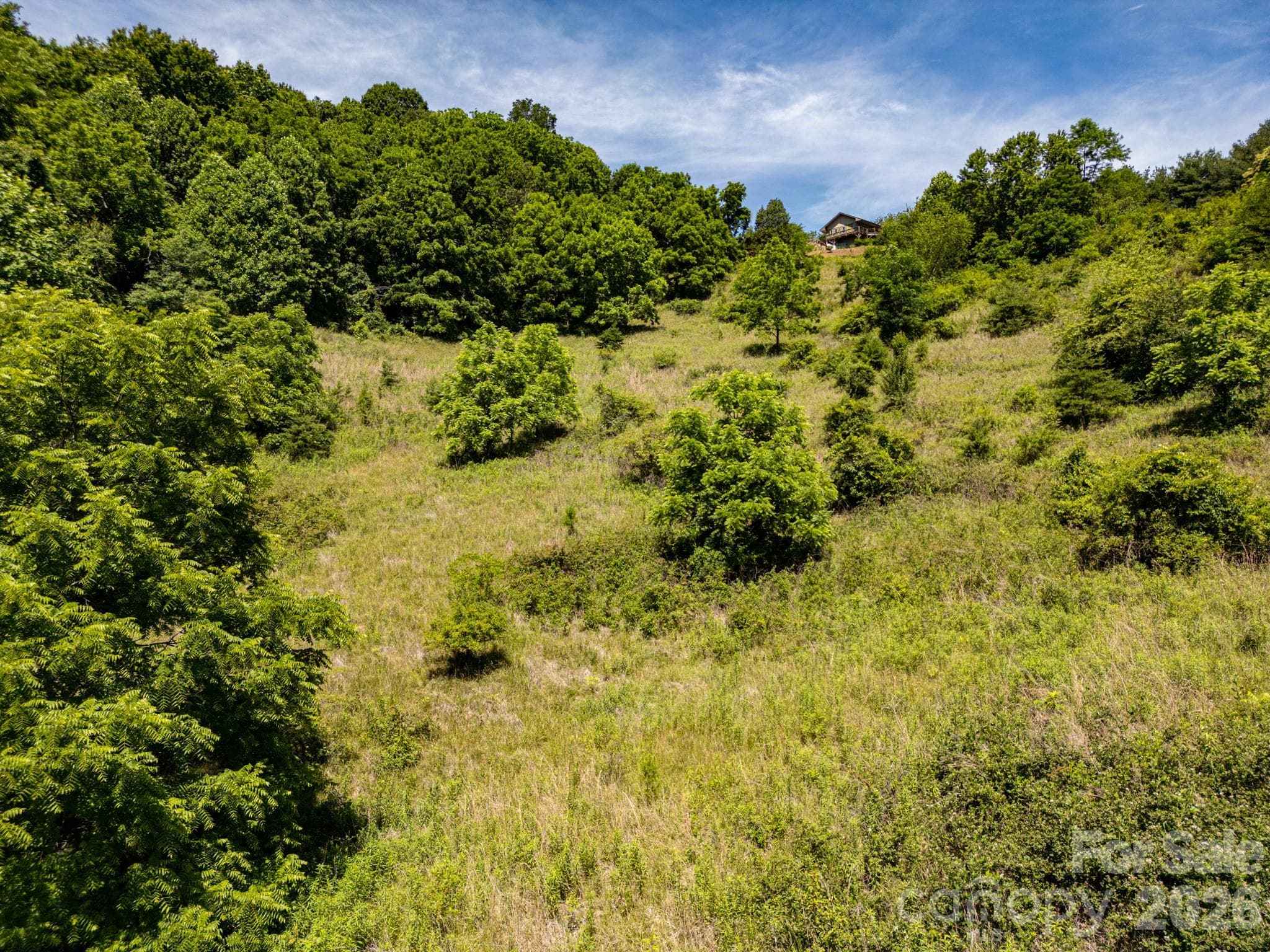 Acreage at 999 Murphy Cove Road, Candler, photo 36 of 48