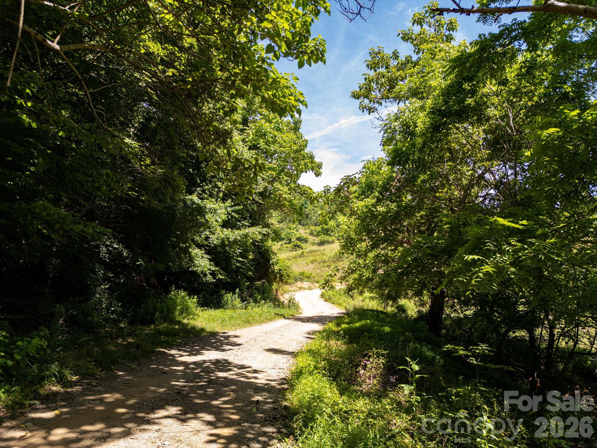 Acreage at 999 Murphy Cove Road, Candler, photo 47 of 48