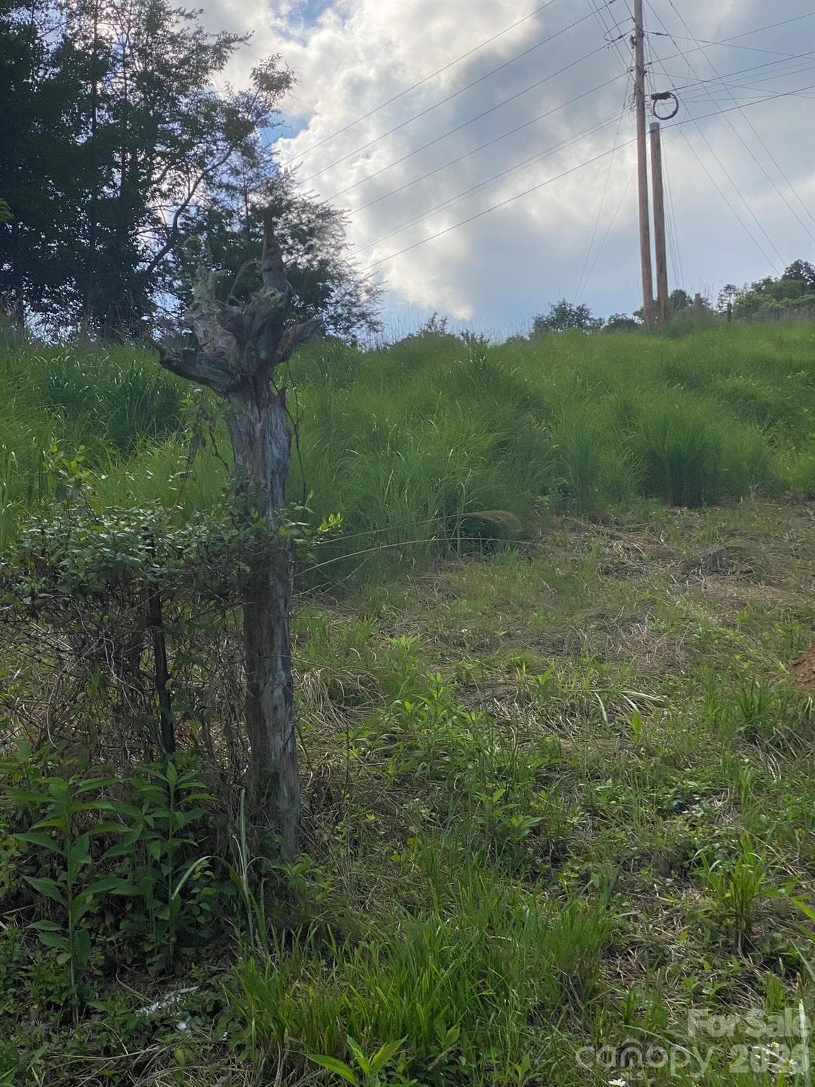 Property ends at left side of ridge line - Marshall