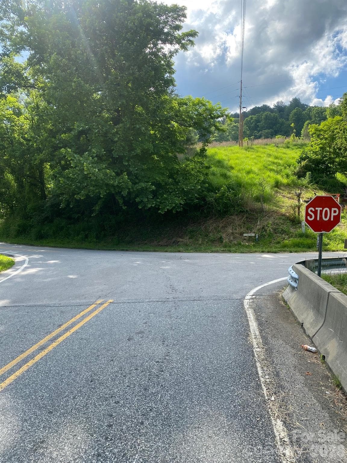 View of property from Bone Camp Road stop sign. - Marshall
