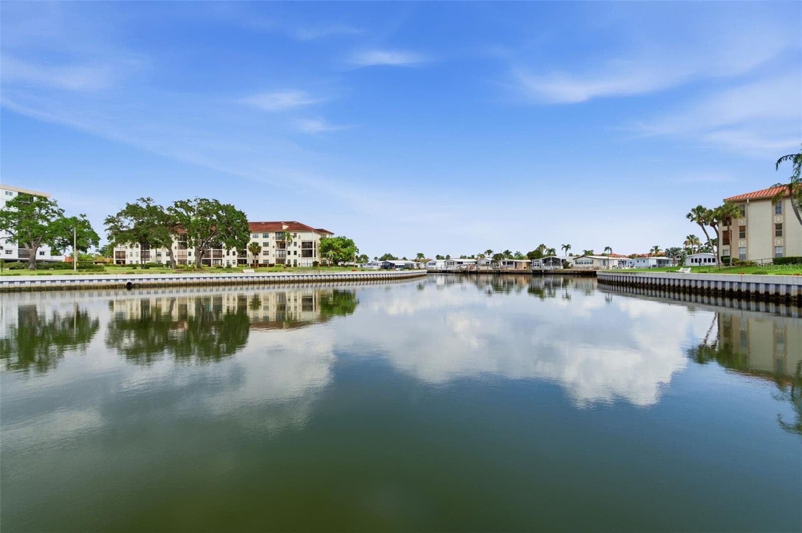 Frequent manatee and dolphin sightings along Old Tampa Bay - 19029 US HIGHWAY 19 N #7-12, CLEARWATER