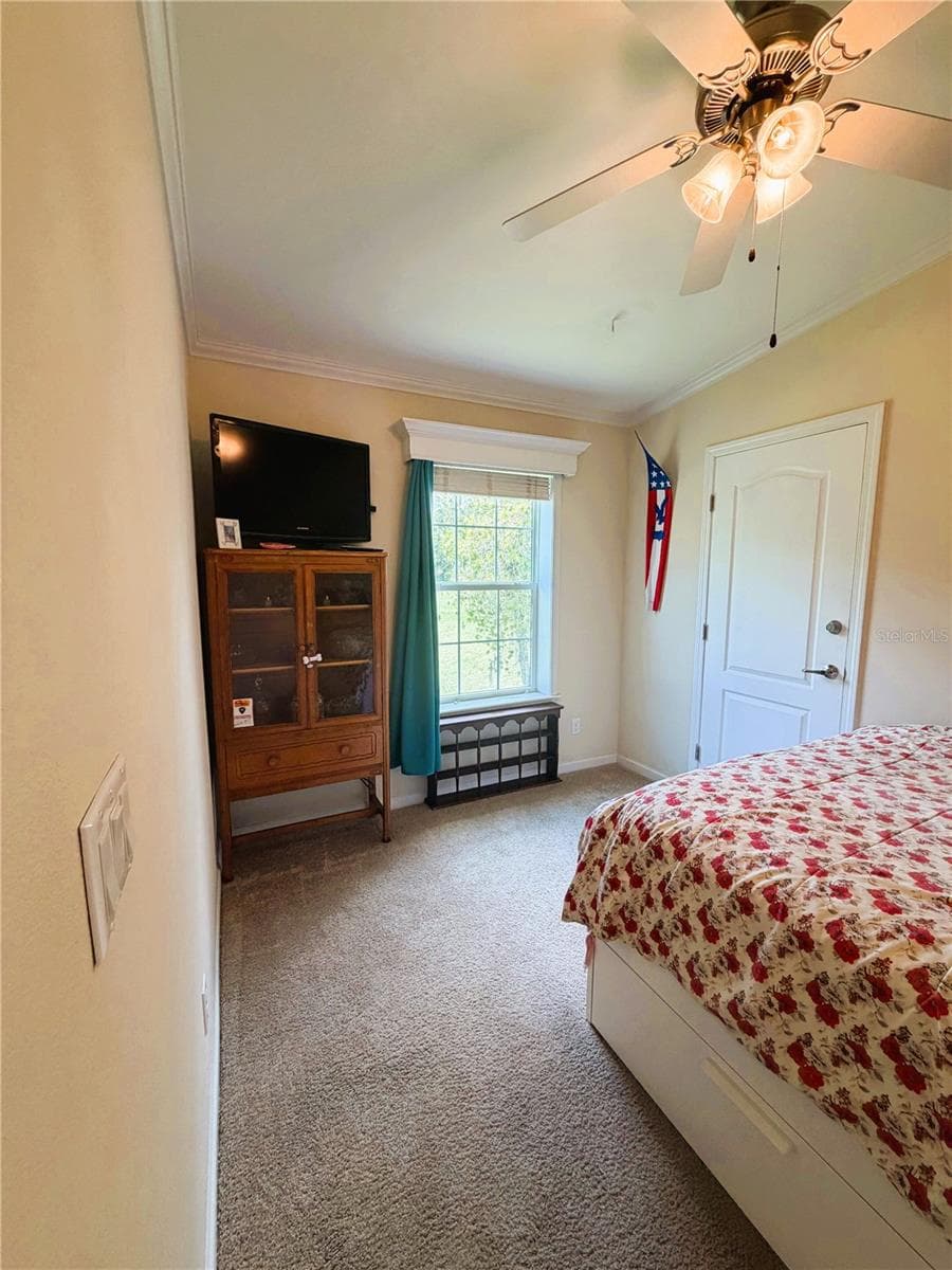 Manufactured Home at 165 SAGO PALM DR, LEESBURG, photo 39 of 63