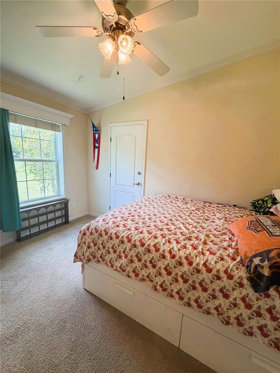 Manufactured Home at 165 SAGO PALM DR, LEESBURG, photo 40 of 63