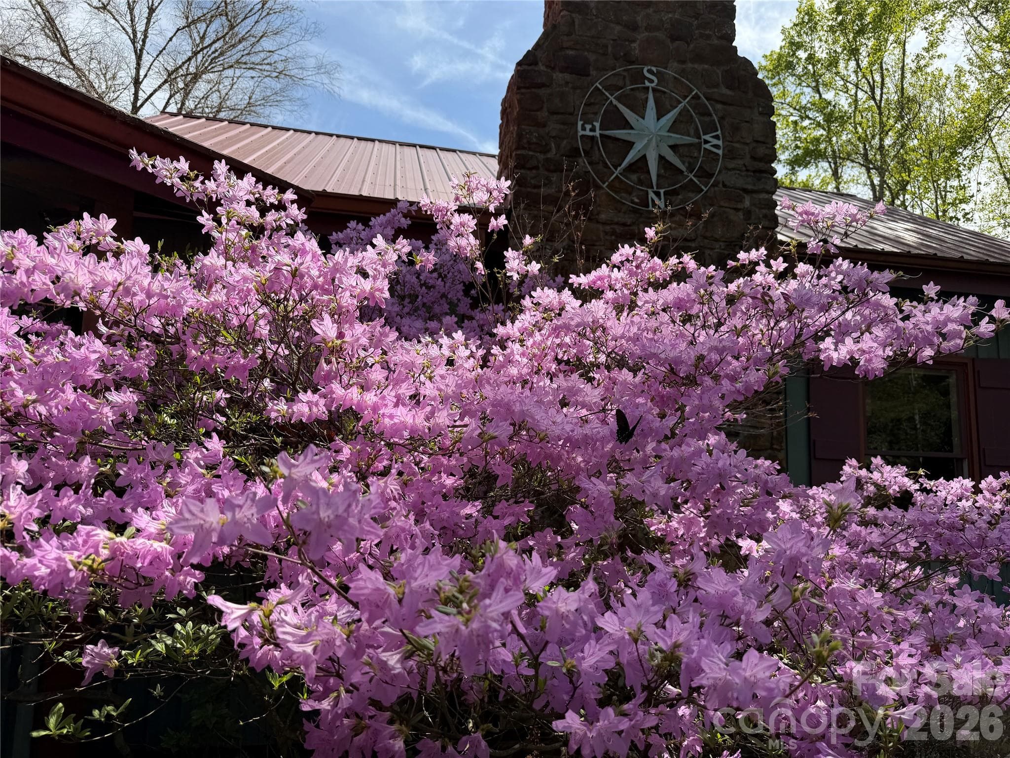 Spring view - 1590 Shulls Mill Road, Boone
