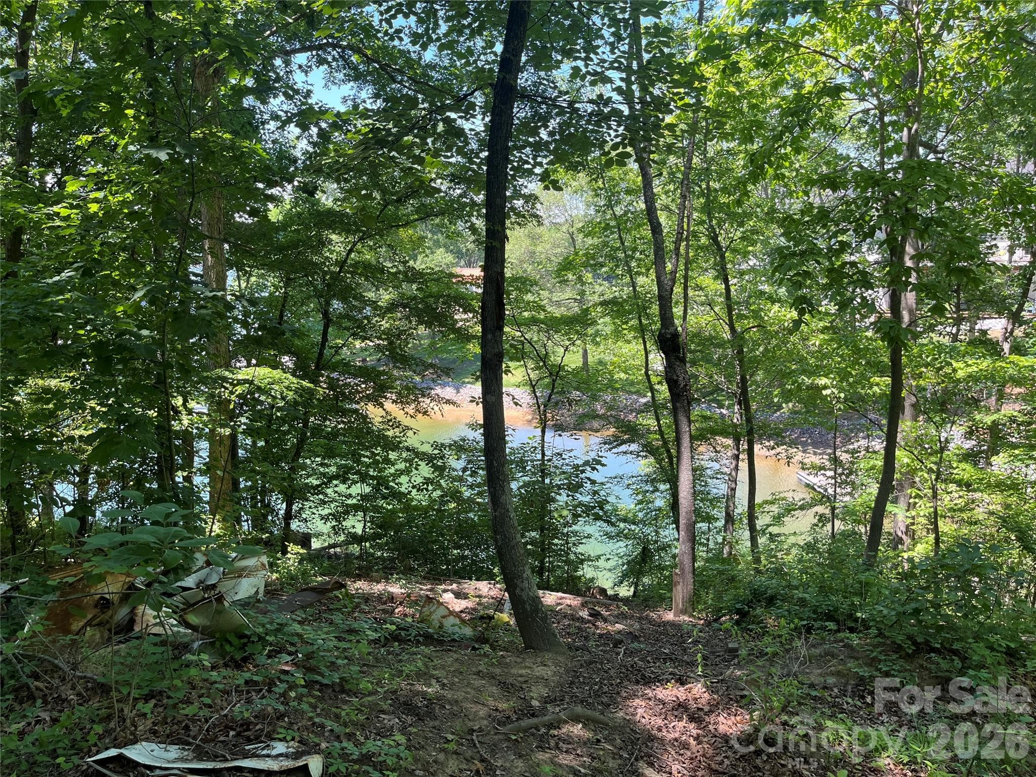 Lot at Mooresville, photo 4 of 24