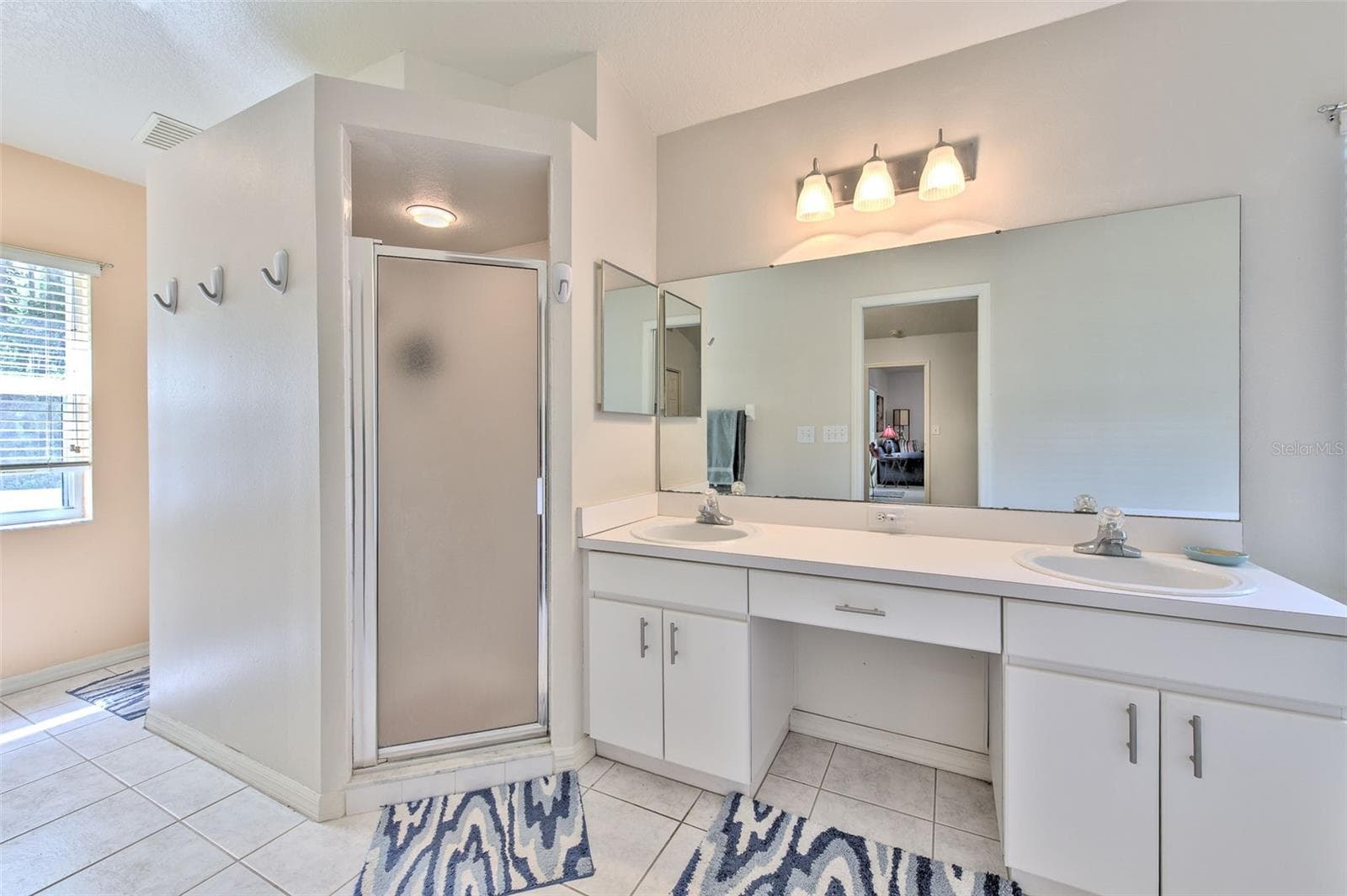 Master shower and dual sinks - 30914 BURLEIGH DR, WESLEY CHAPEL