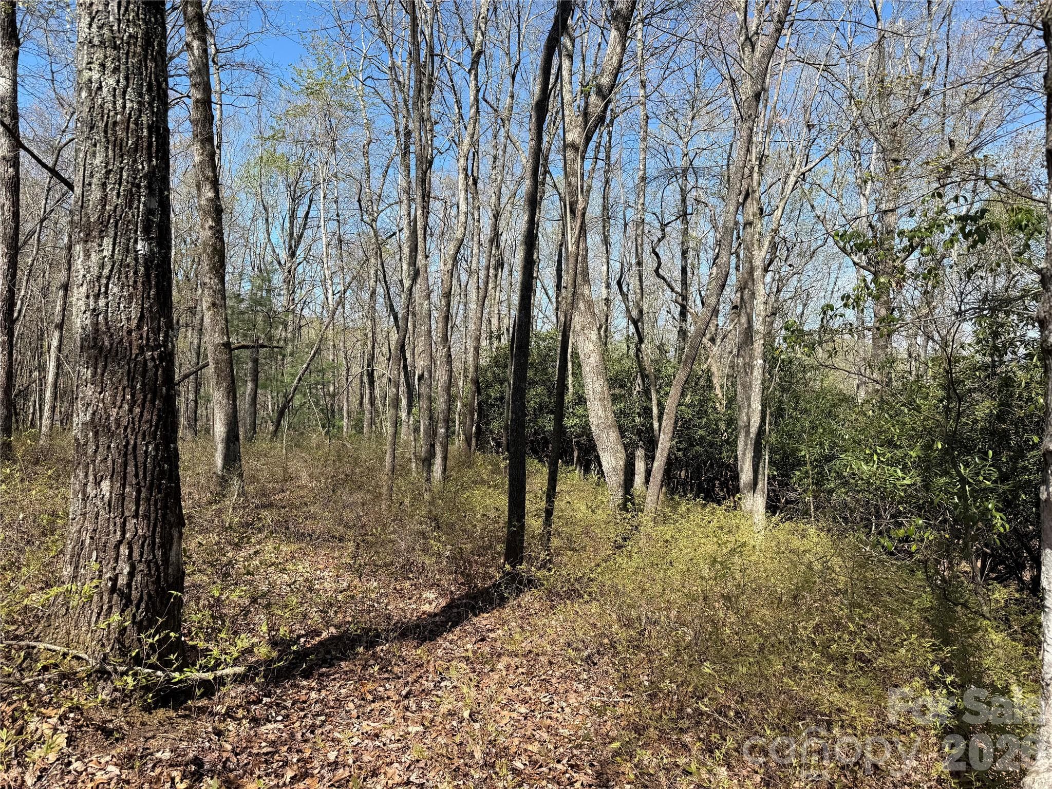Lot at TBD White Oak Terrace, Brevard, photo 6 of 31