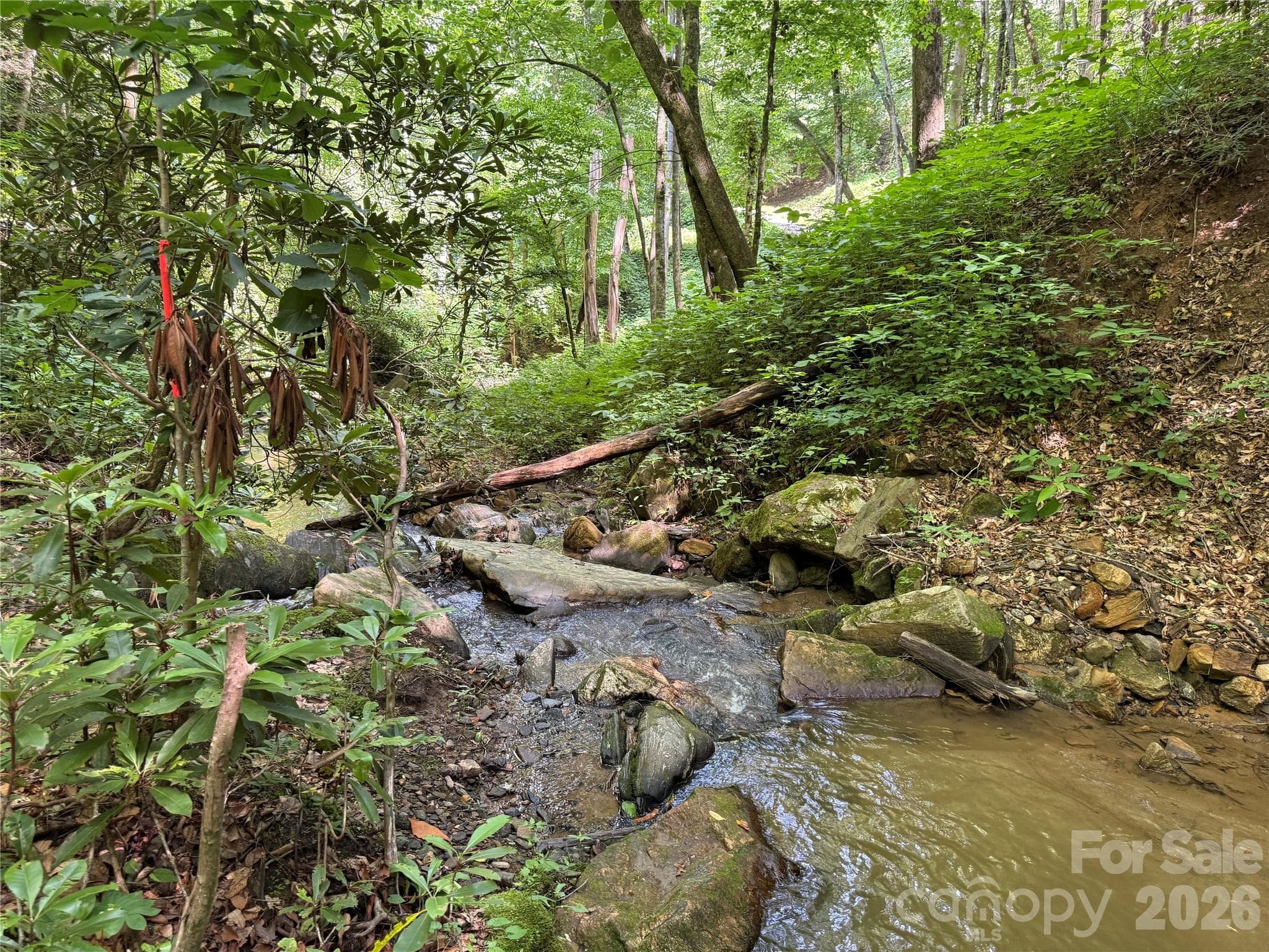 Acreage at Sylva, photo 3 of 27