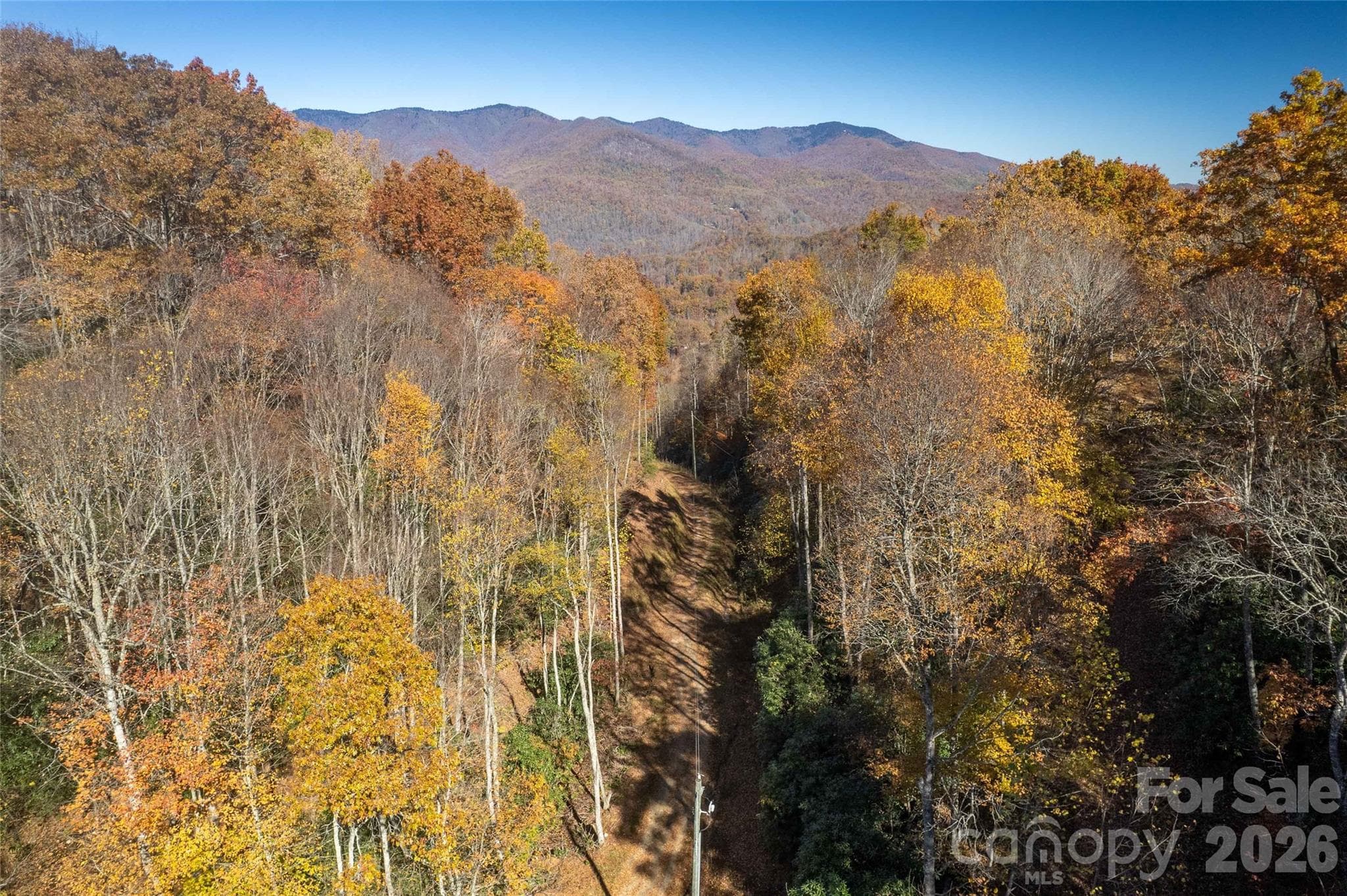 Acreage at Sylva, photo 4 of 27