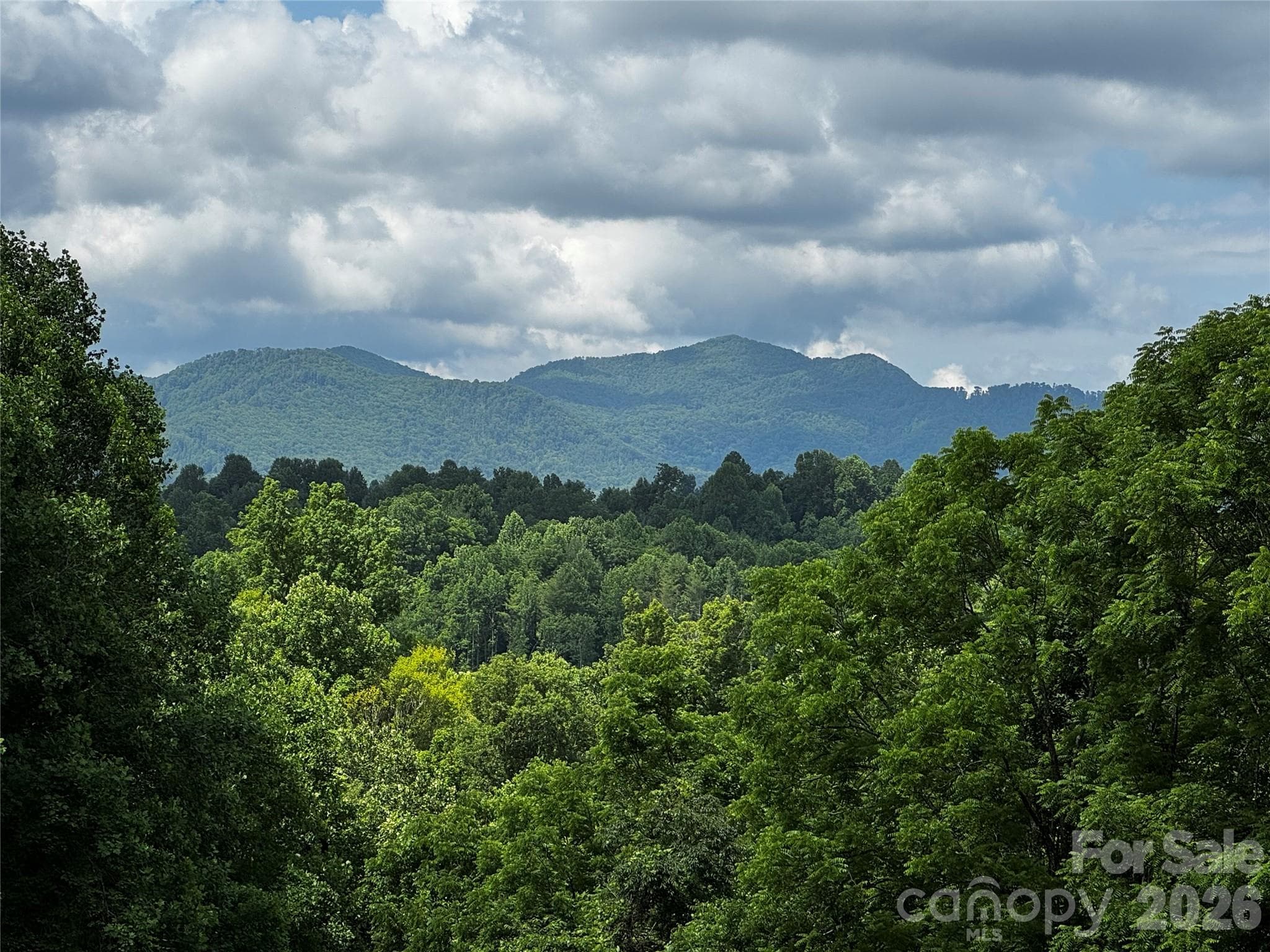 View from upper part of property. - 1327 NC 80 Highway, Bakersville