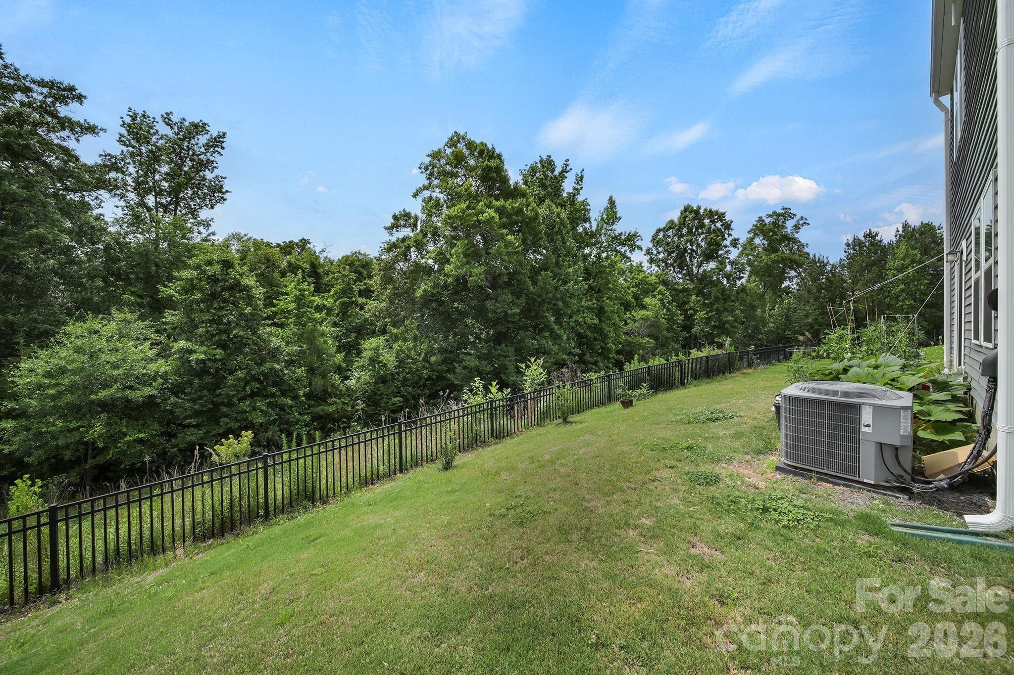 Single Family Residence at 660 Citriadora Street, Fort Mill, photo 29 of 35