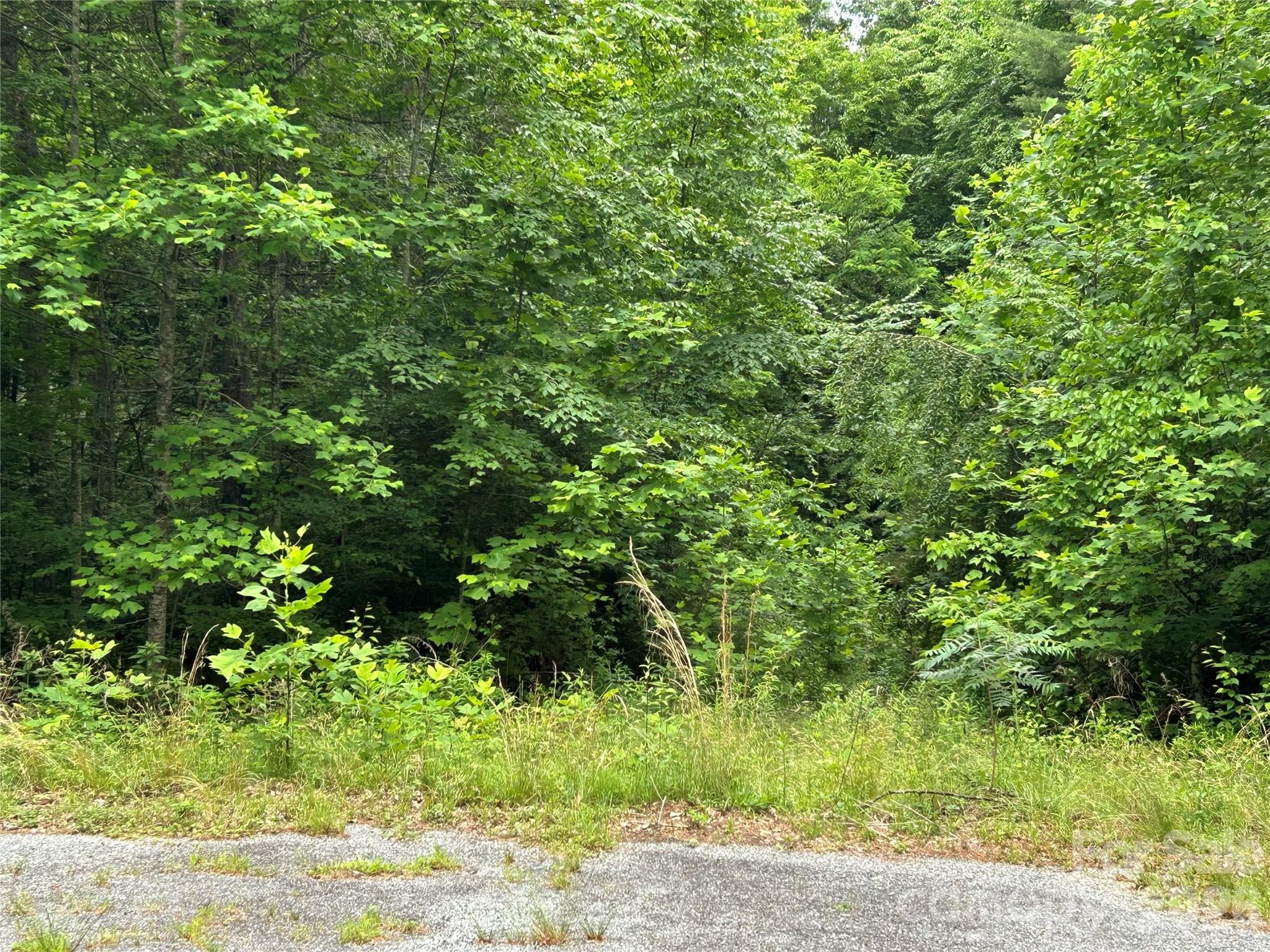 Lot at Hendersonville, photo 2 of 5