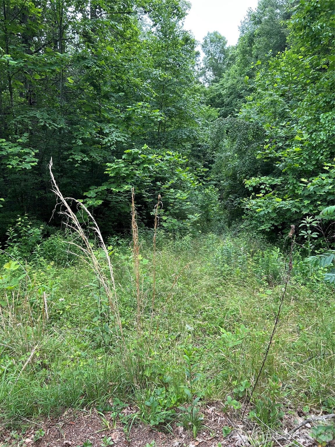 Lot at Hendersonville, photo 3 of 5