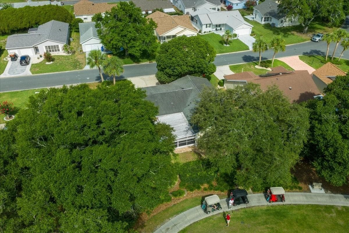 Beautiful Trees Providing Privacy and Shade - 1133 DEL TORO DR, LADY LAKE