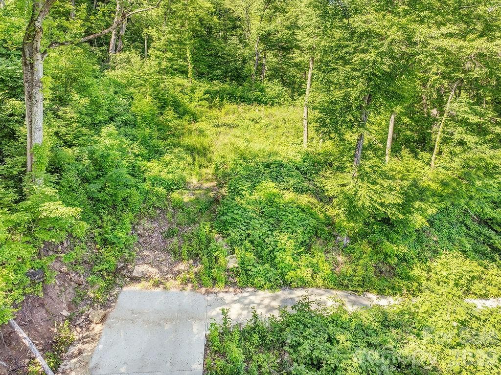 Lot at Waynesville, photo 2 of 12