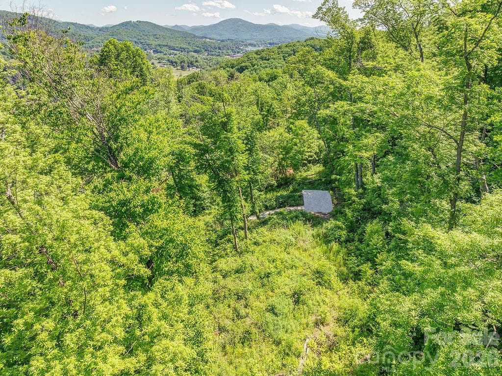 Lot at Waynesville, photo 4 of 12