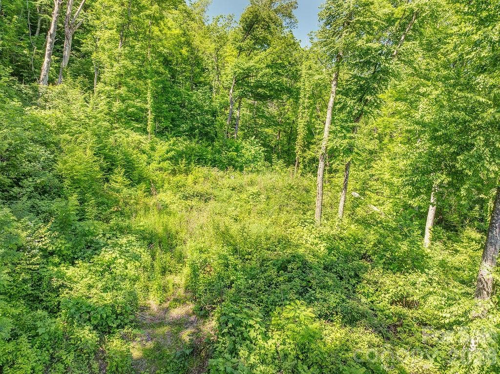 Lot at Waynesville, photo 5 of 12