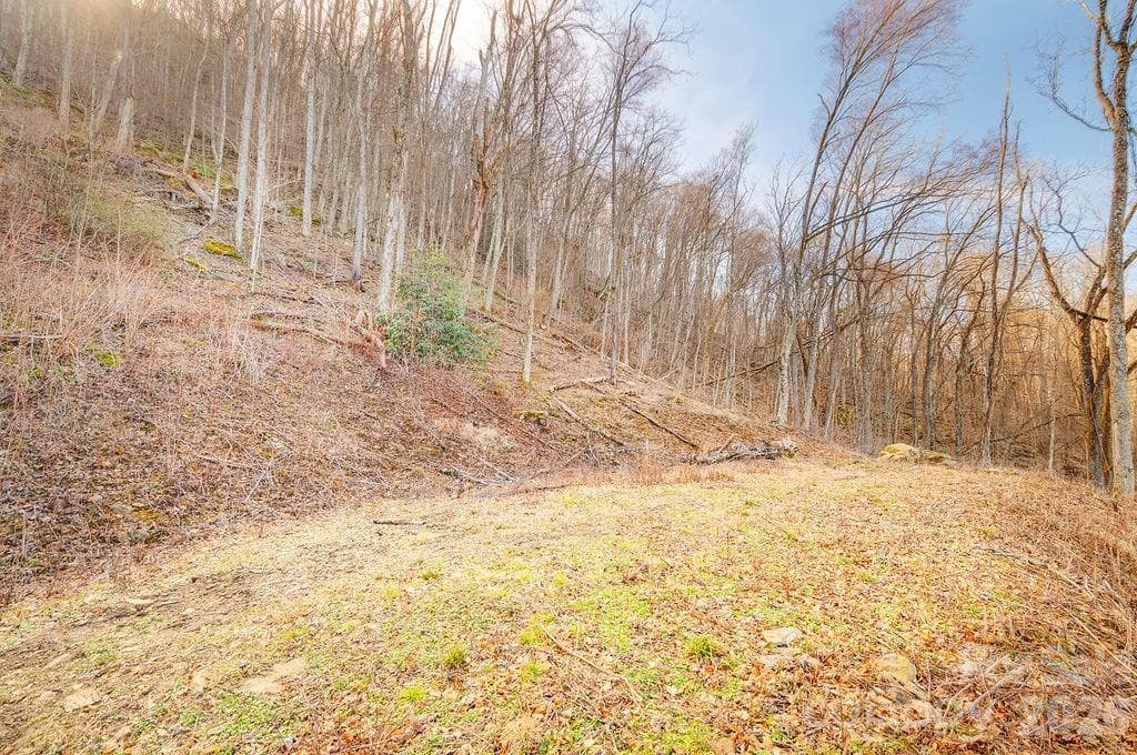 Cleared build site right off of the new driveway - Waynesville