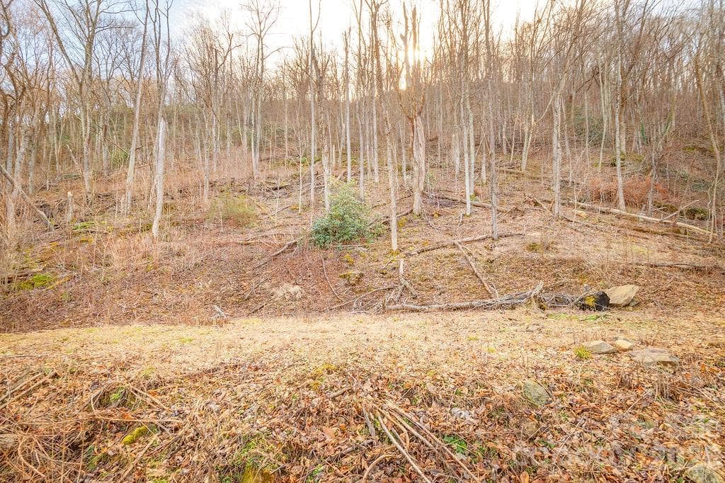 Lot at Waynesville, photo 9 of 12