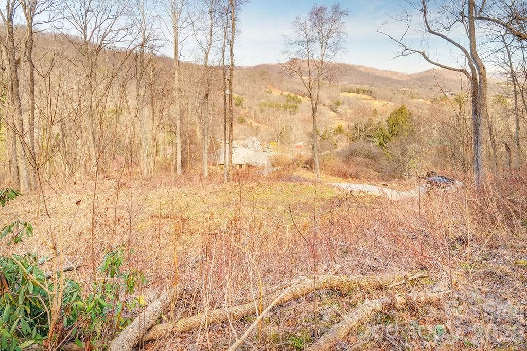 Lot at Waynesville, photo 11 of 12