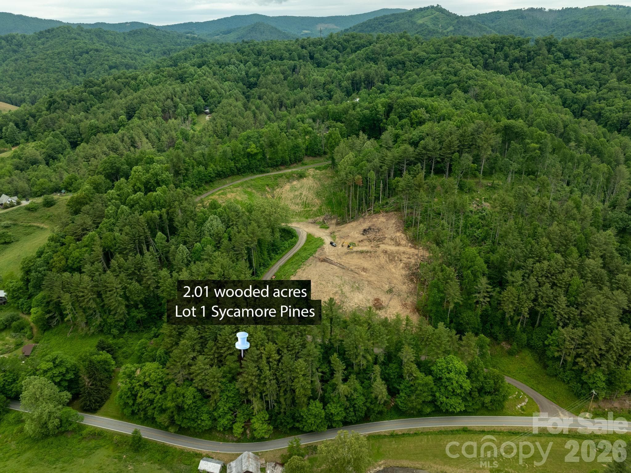 Lot at TBD Sycamore Road, Vilas, photo 4 of 38