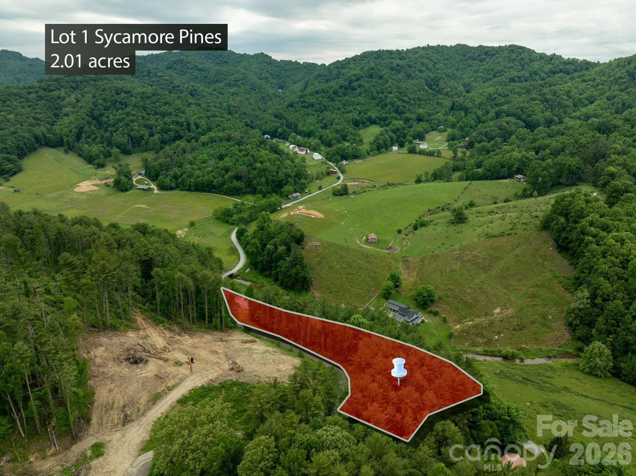Lot at TBD Sycamore Road, Vilas, photo 5 of 38
