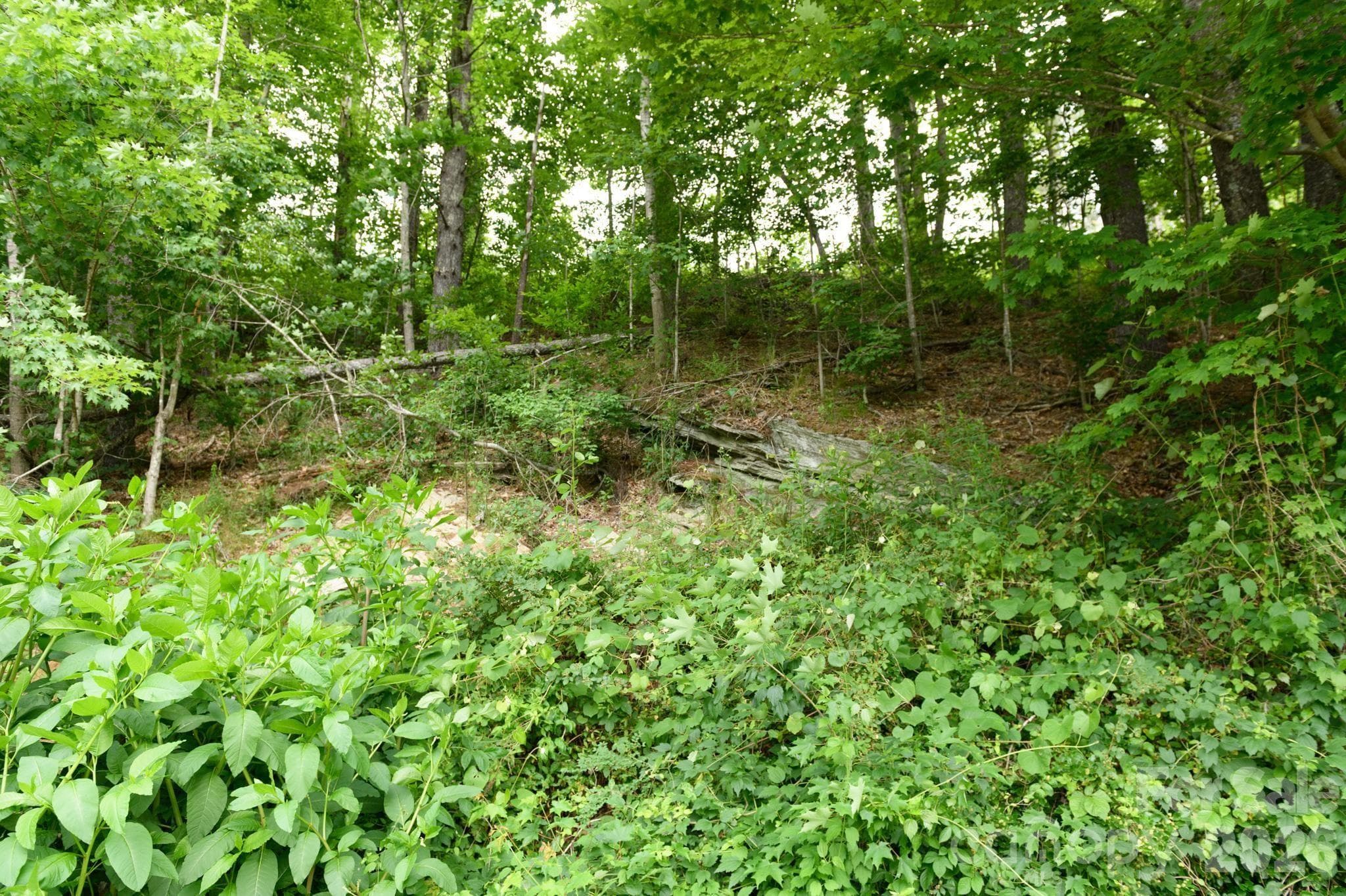 Lot at TBD Sycamore Road, Vilas, photo 14 of 38
