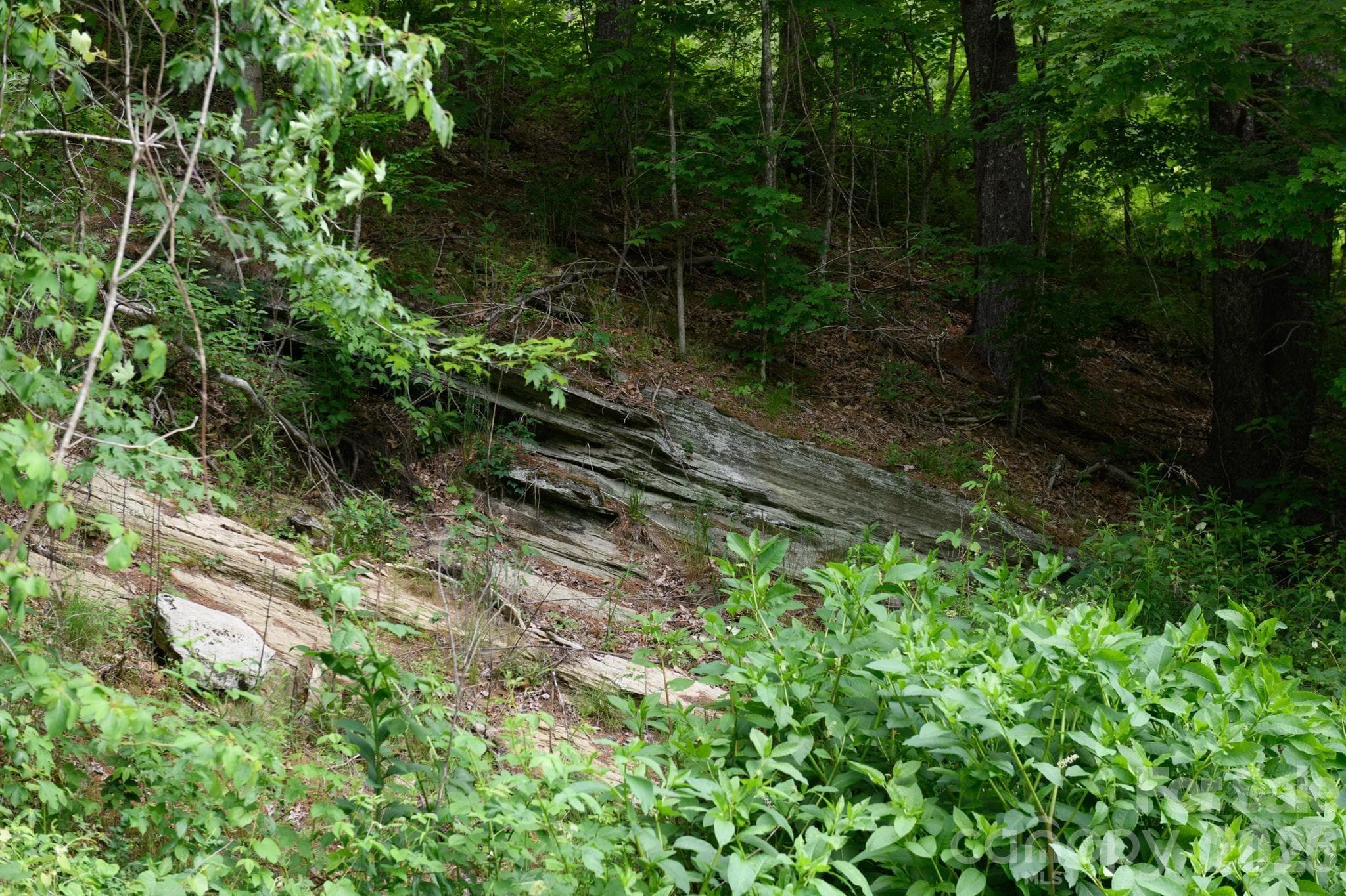 Lot at TBD Sycamore Road, Vilas, photo 16 of 38