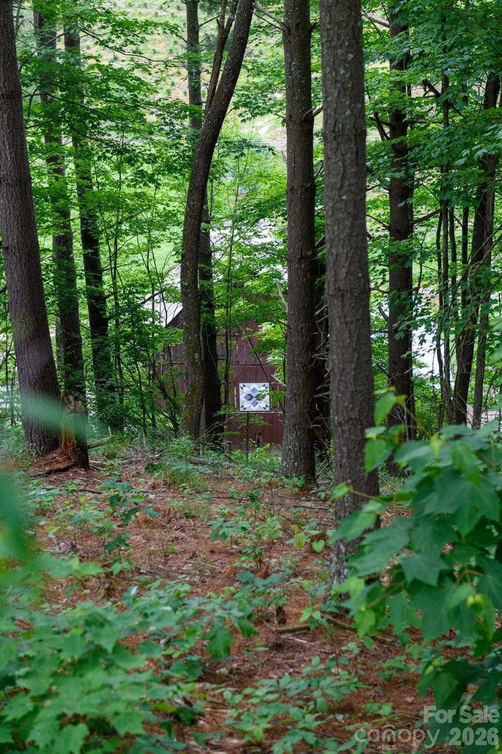 Lot at TBD Sycamore Road, Vilas, photo 29 of 38