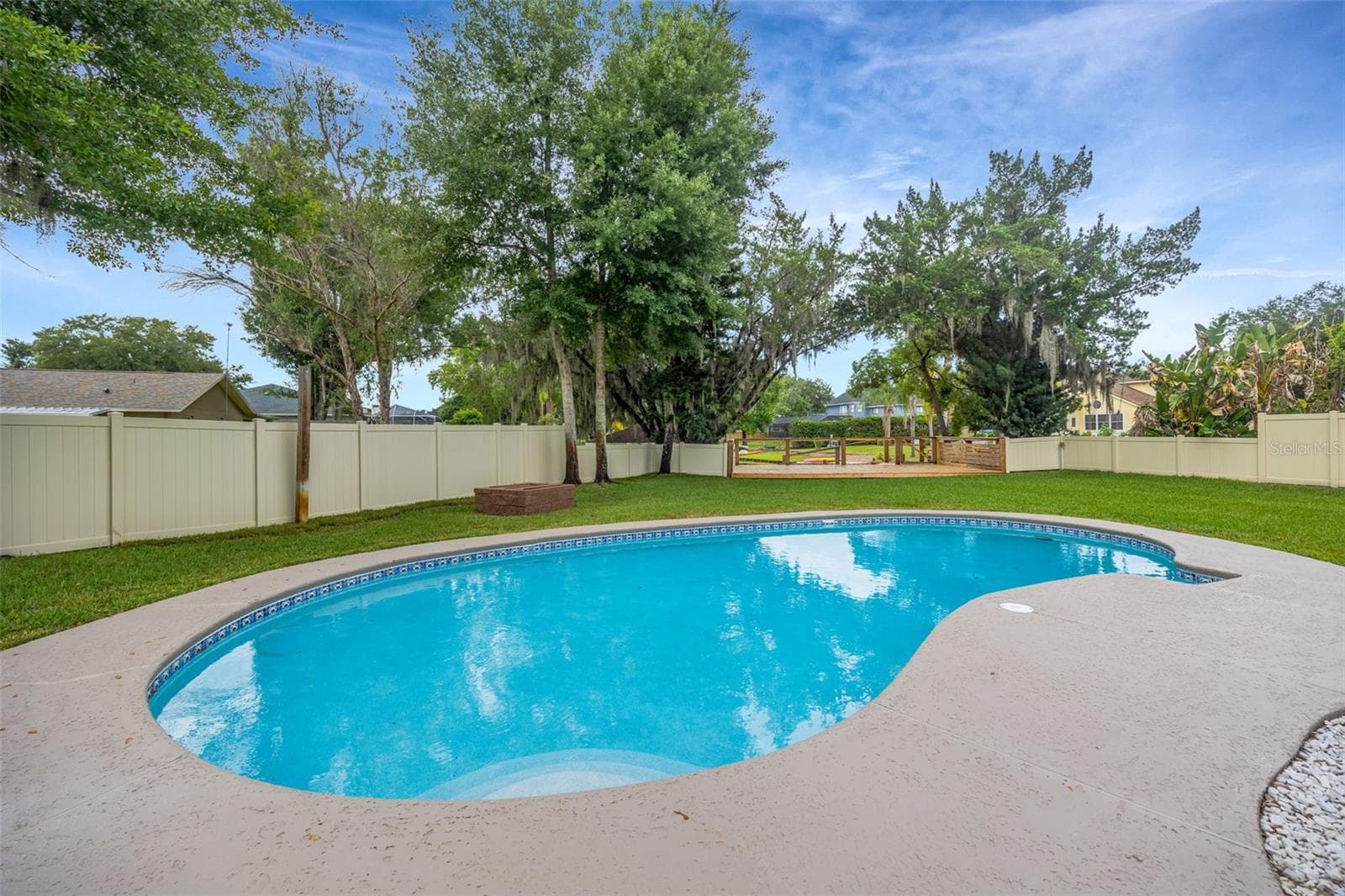 Pool - 22369 SOUTHSHORE DR, LAND O LAKES