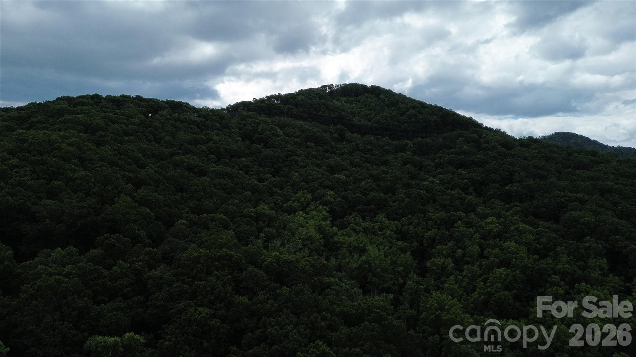 Lot at Black Mountain, photo 14 of 14