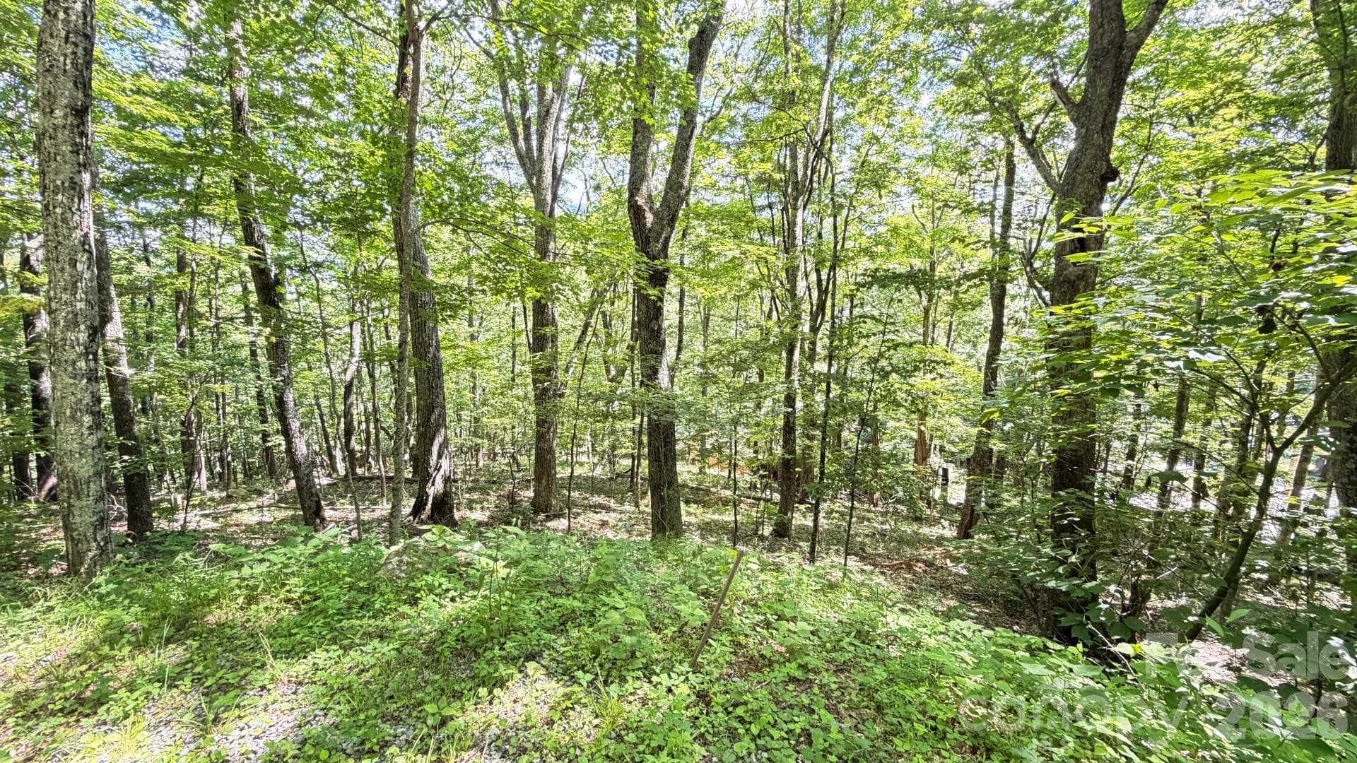 Lot at TBD Greencove Drive, Seven Devils, photo 6 of 39