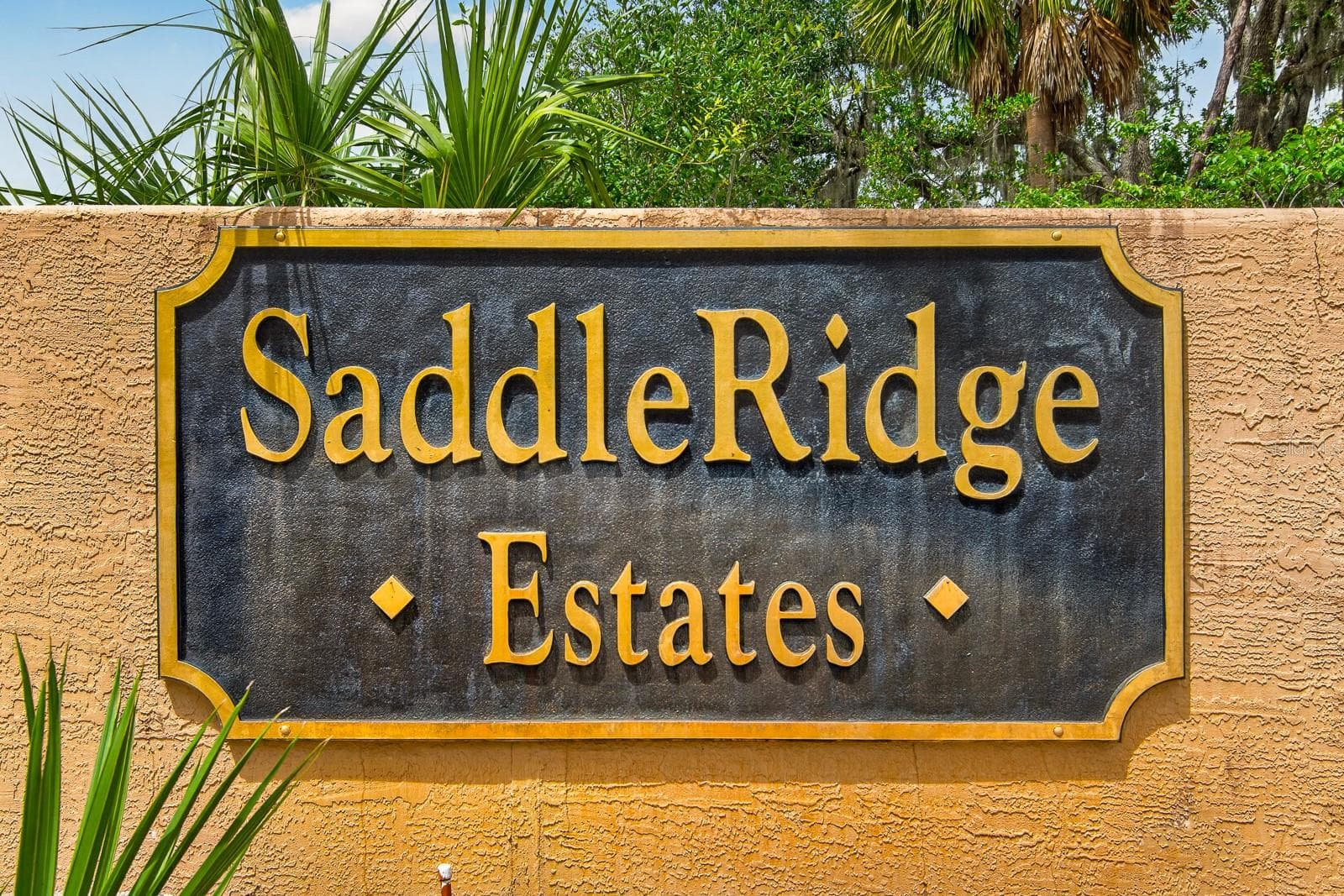 Single Family Residence at 6130 BRIDLEFORD DR, WESLEY CHAPEL, photo 47 of 49