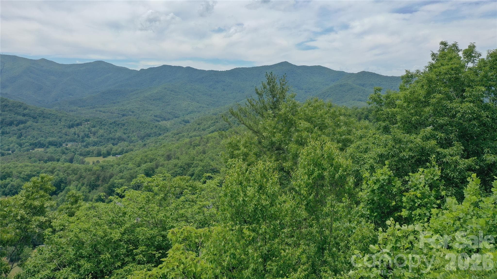 Tree top drone shot - Sylva