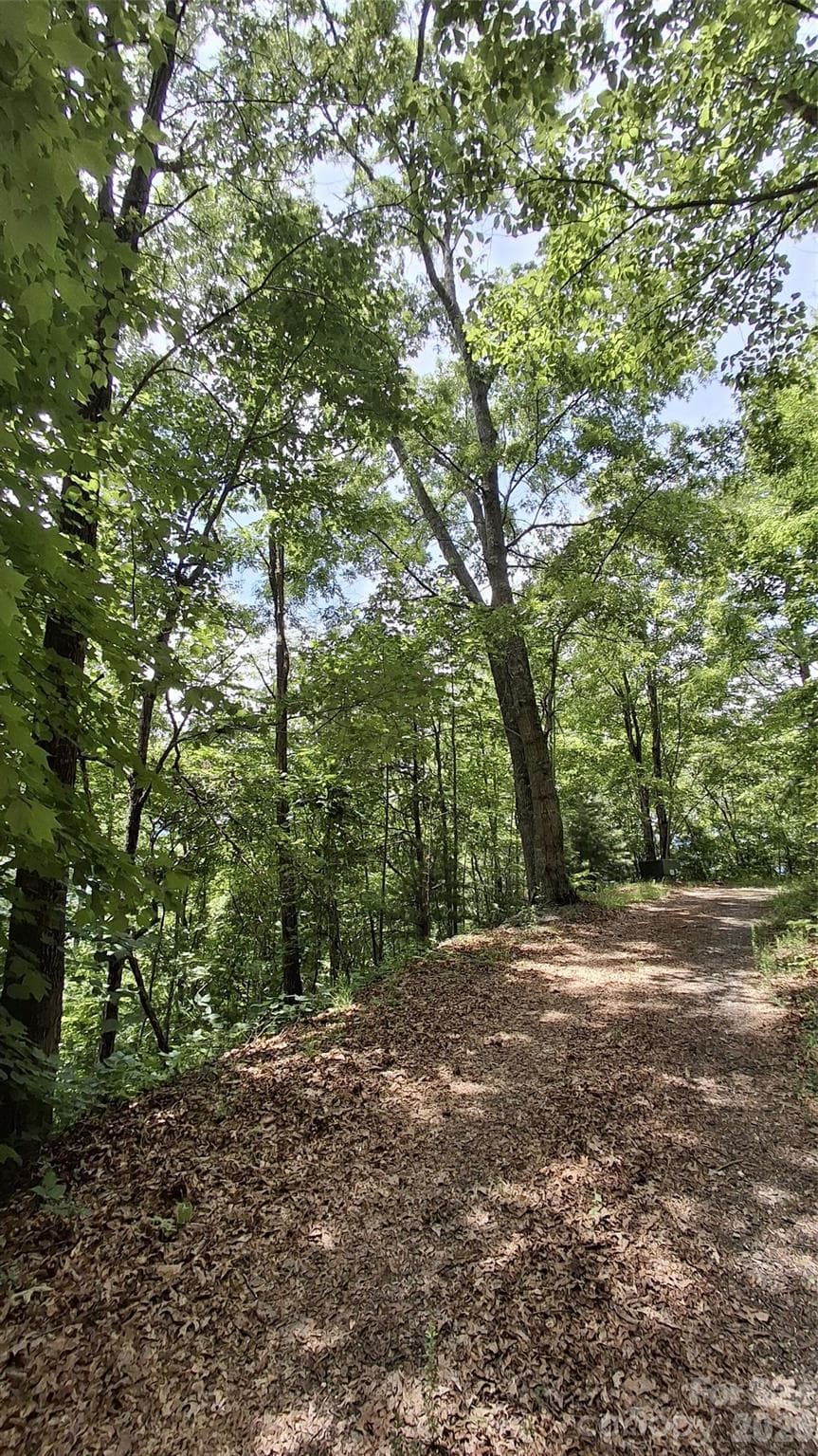 Lot at Sylva, photo 7 of 18