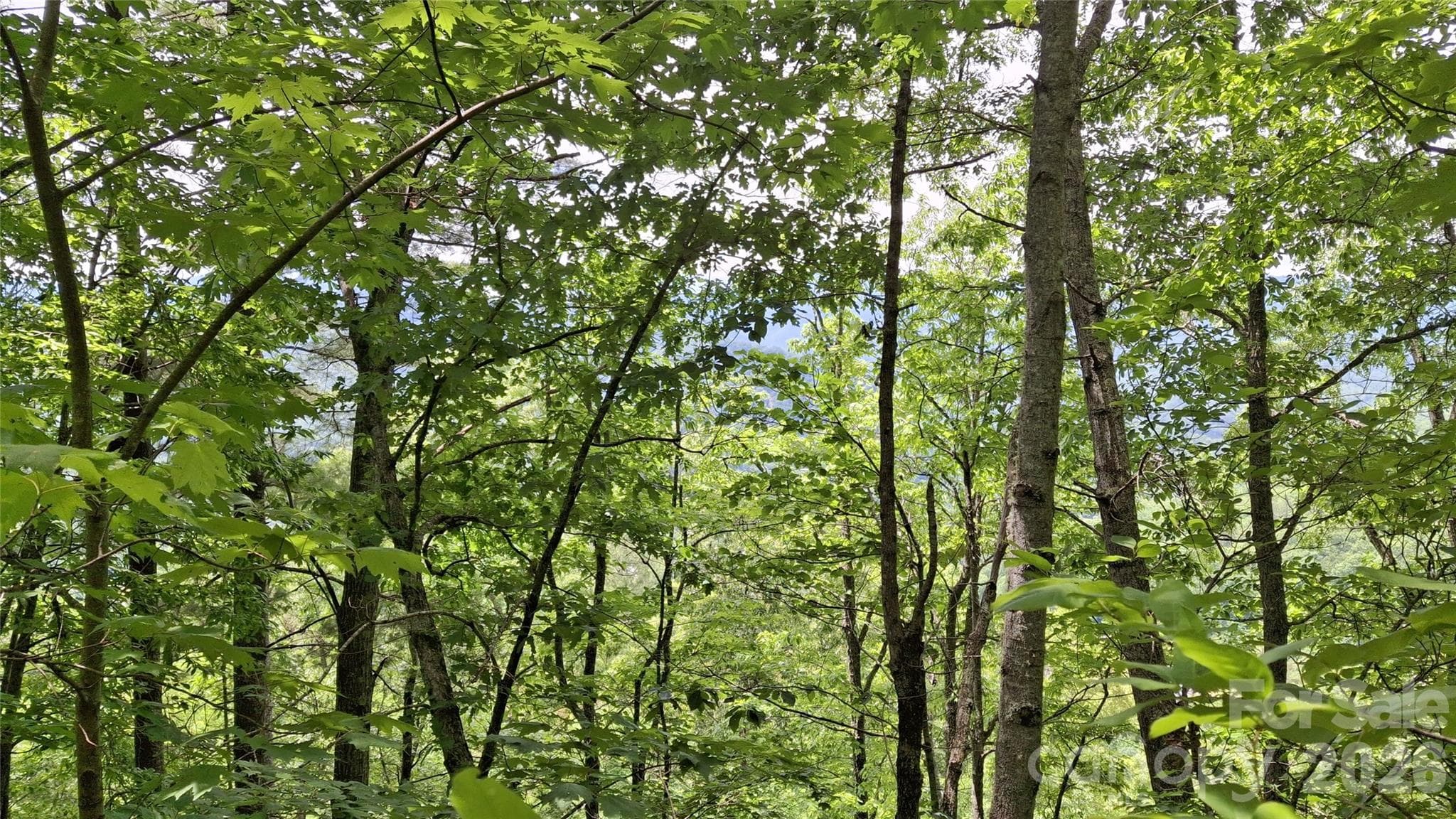 Lot at Sylva, photo 16 of 18