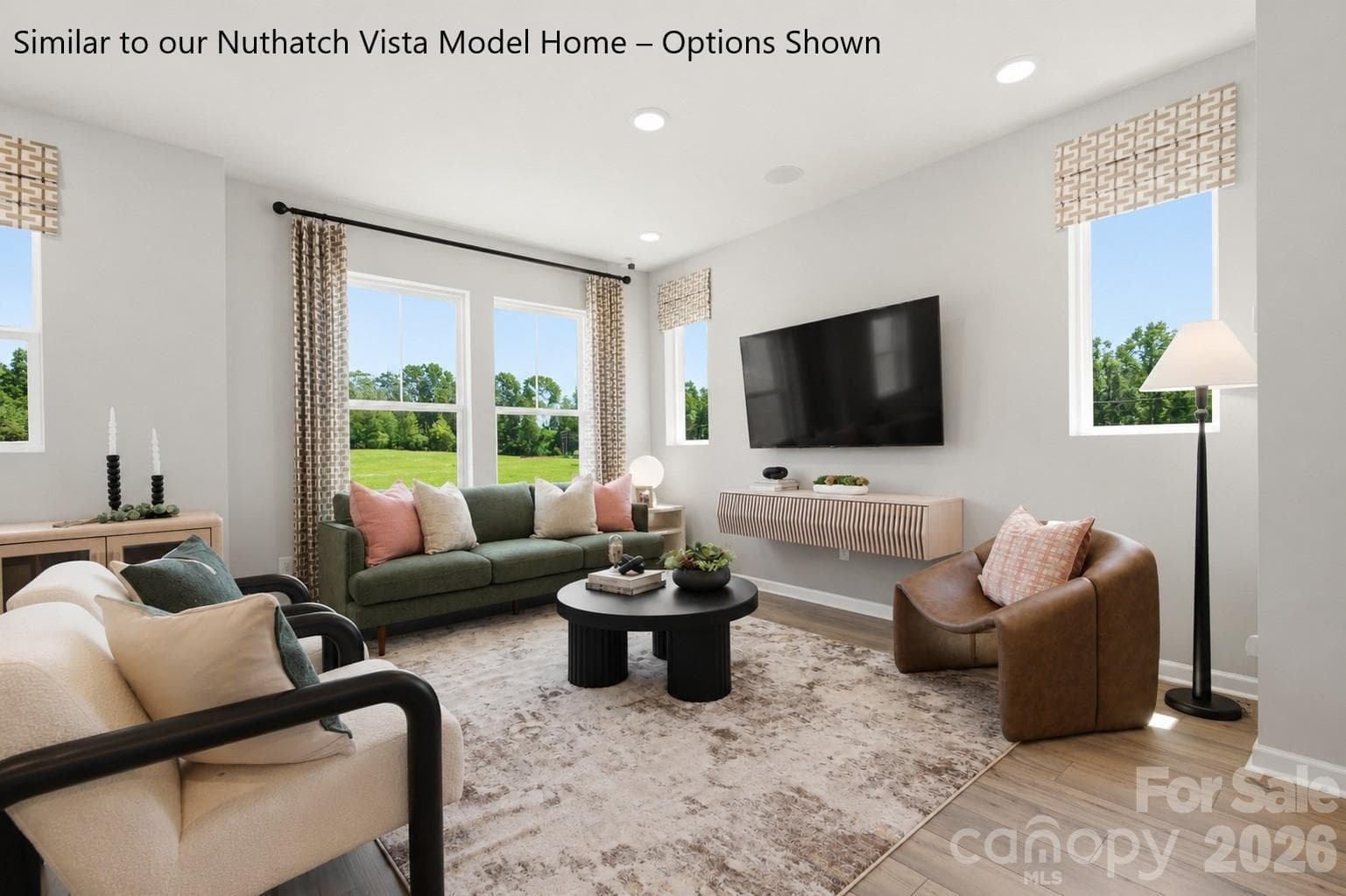 Living Room with an Abundance of Natural Light - Charlotte