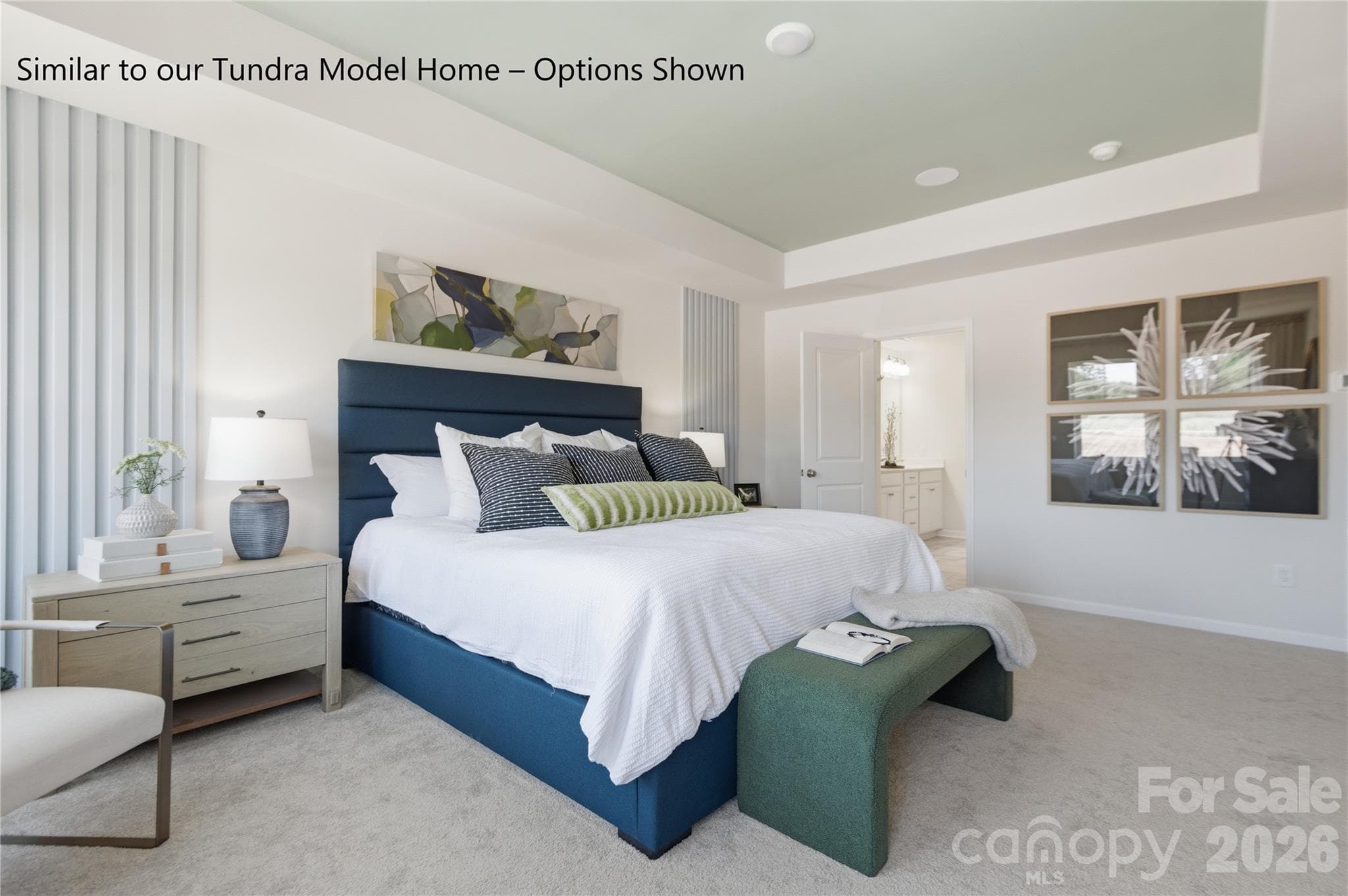 Owner's Suite with Tray Ceiling to Enhance the Room and Space - Charlotte