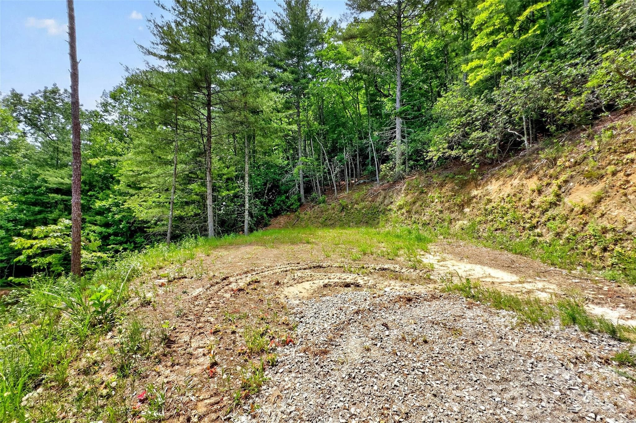 Acreage at 259 E Lester Lane, Hendersonville, photo 17 of 38