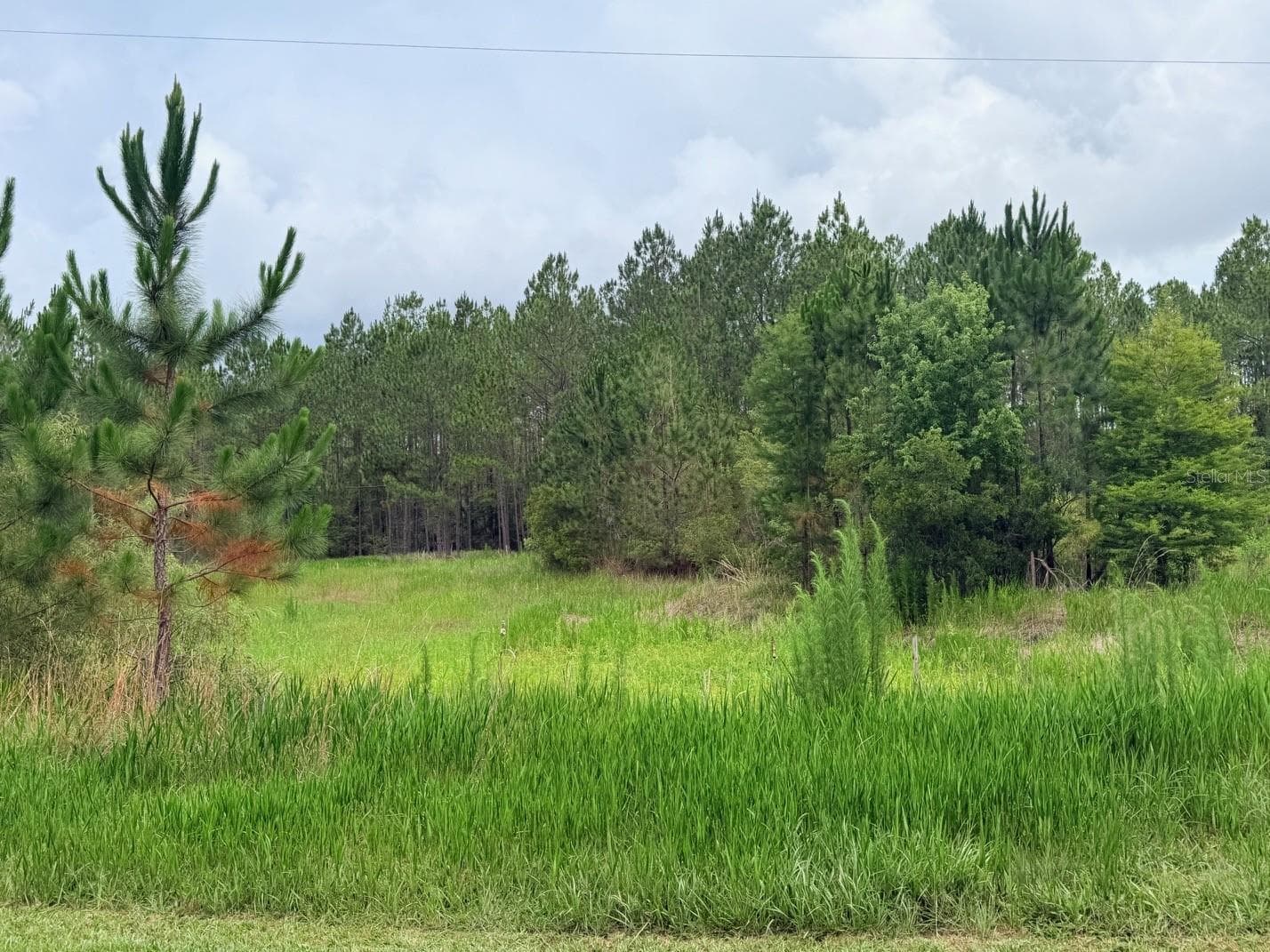 Land at 790 NW 42 TER, CHIEFLAND, photo 34 of 50