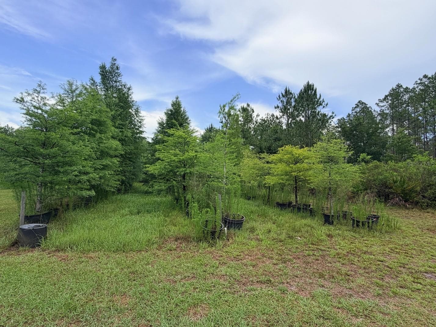 Land at 790 NW 42 TER, CHIEFLAND, photo 40 of 50