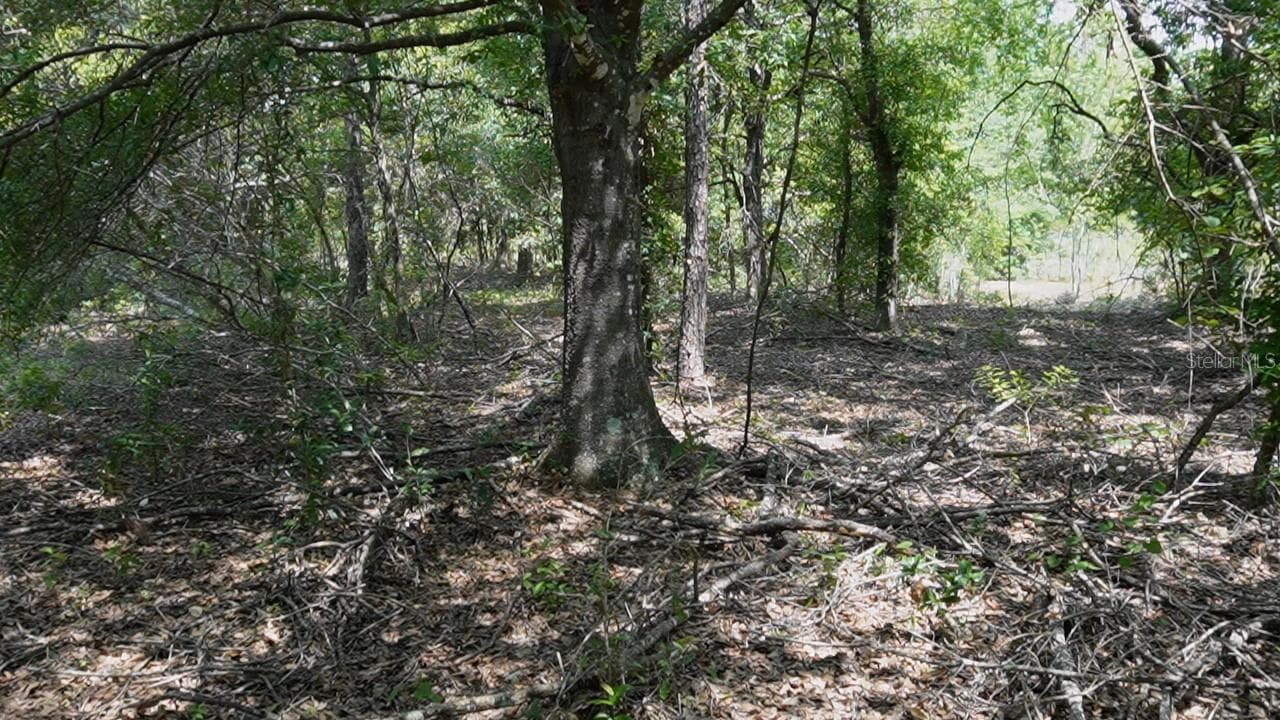 Land at ASPEN MEADOWS, POLK CITY, photo 13 of 16